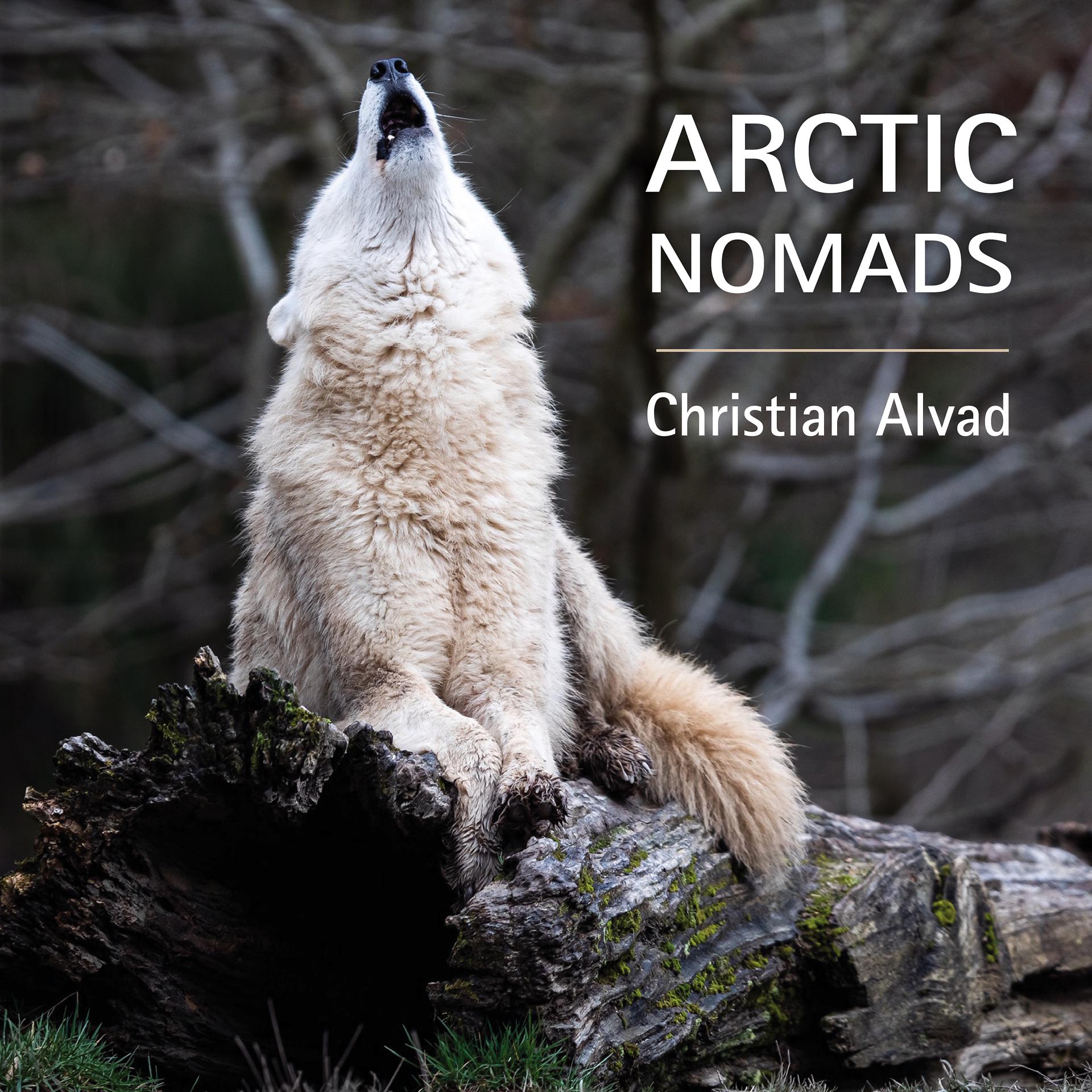 Постер альбома Arctic Nomads (Remastered)