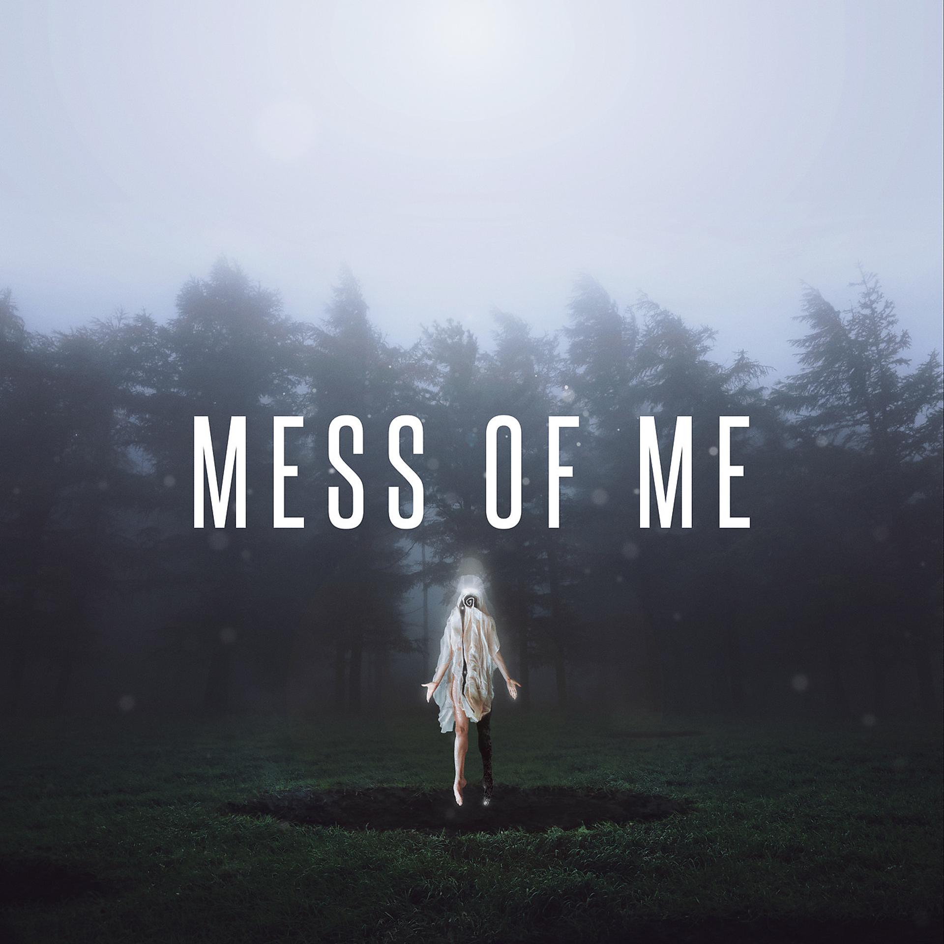 Постер альбома Mess of Me