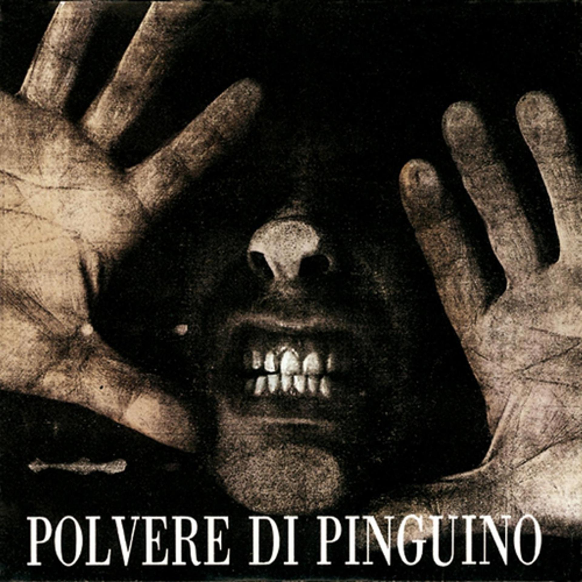 Постер альбома Polvere di Pinguino
