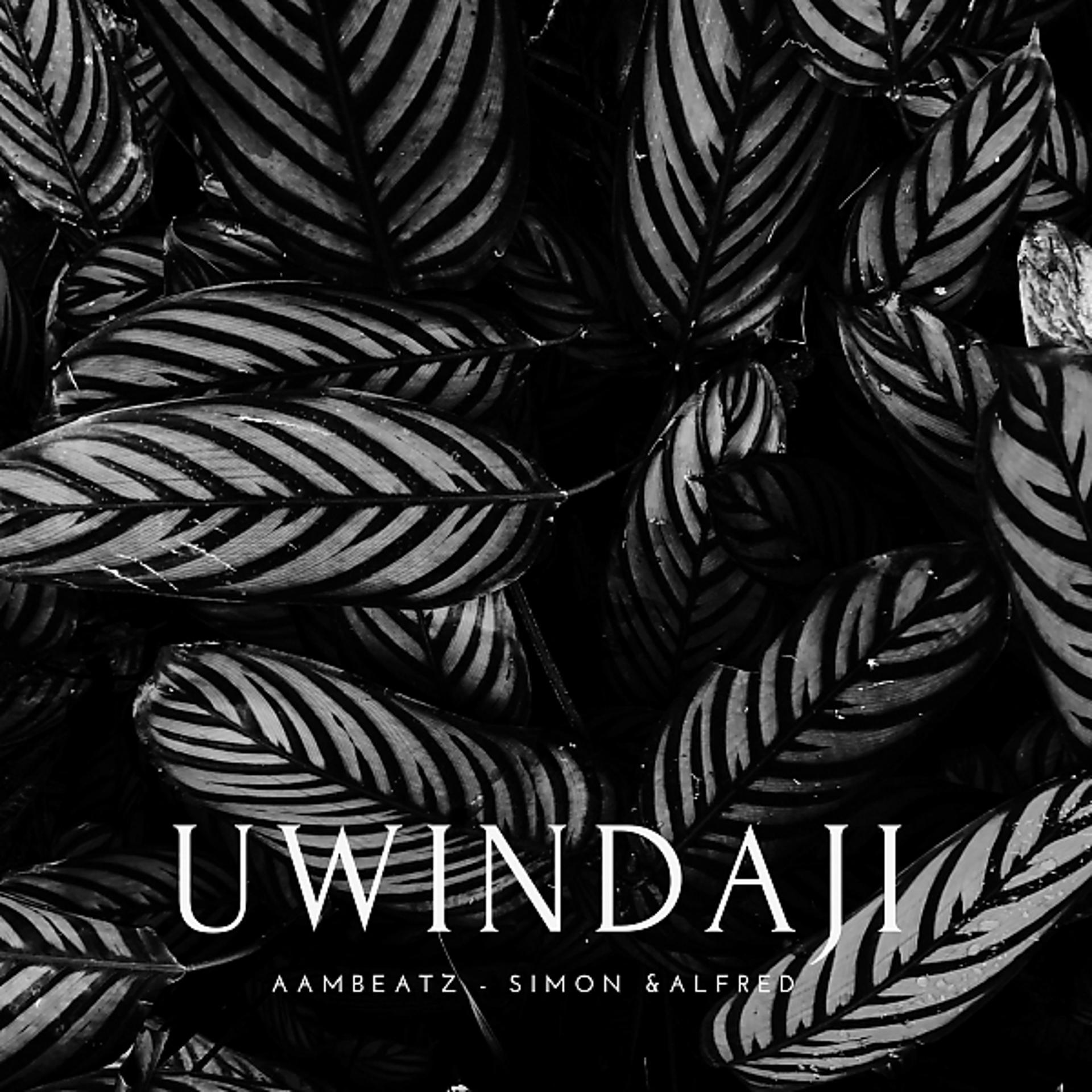 Постер альбома Uwindaji