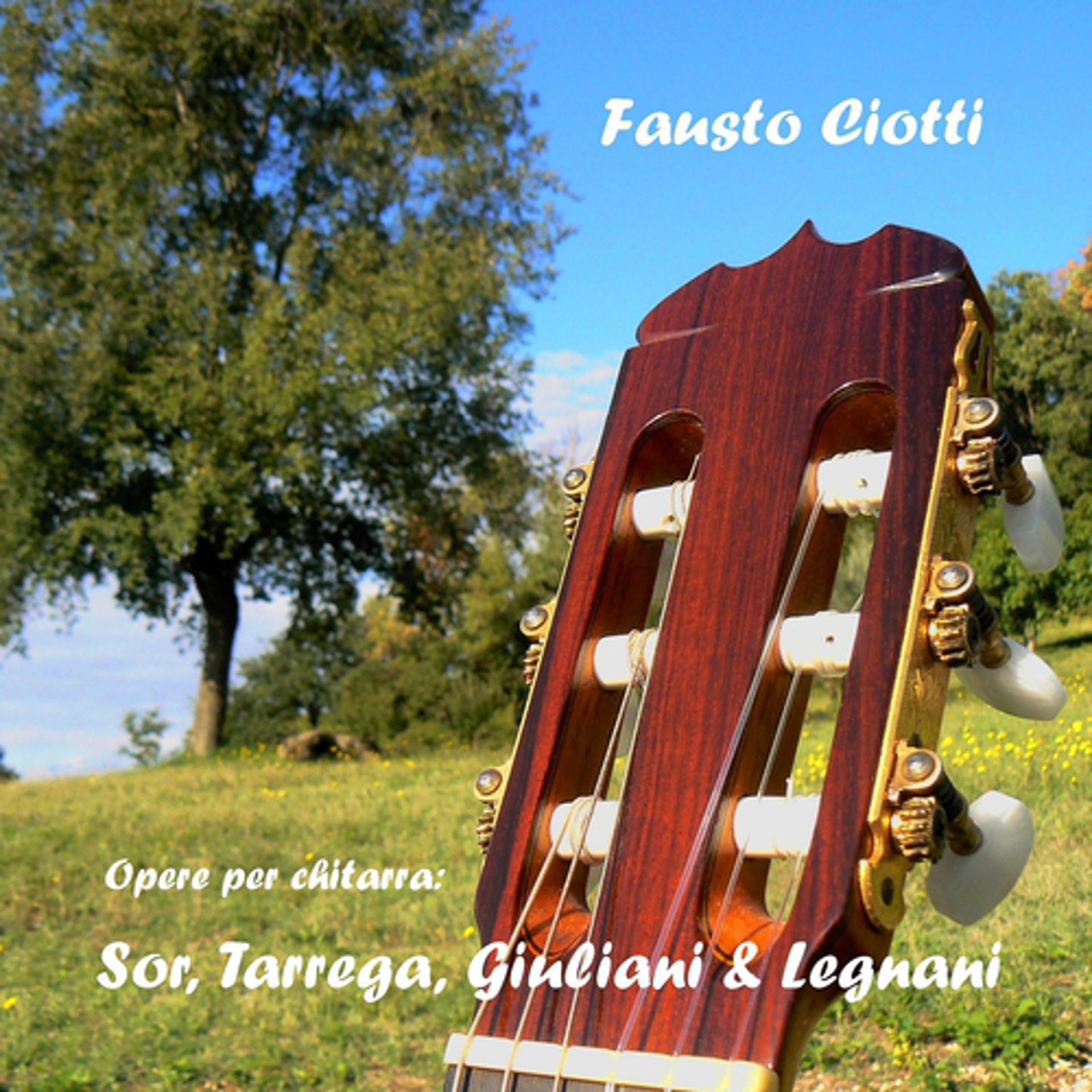 Постер альбома Opere per chitarra