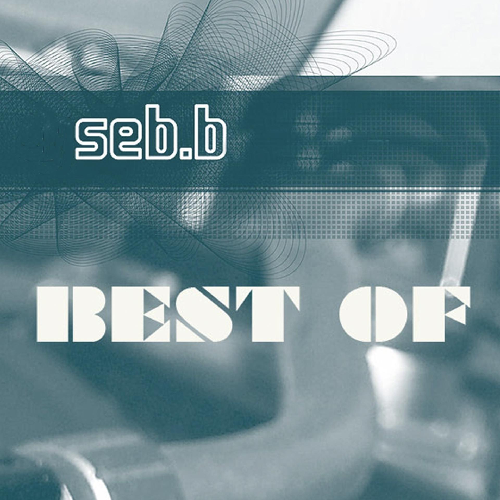 Постер альбома Best Of Dj Seb B