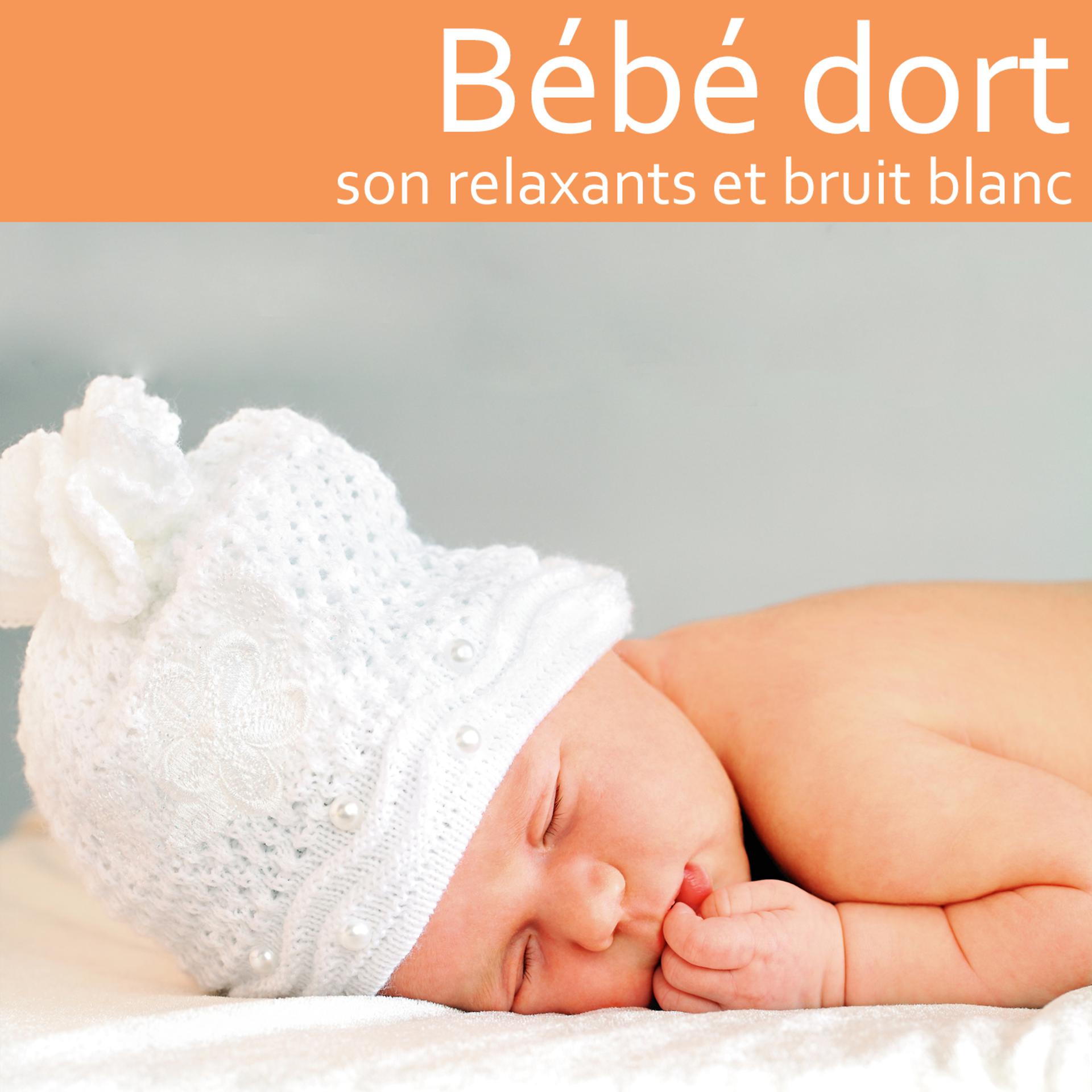 Постер альбома Bébé dort: Sons relaxants et bruit blanc