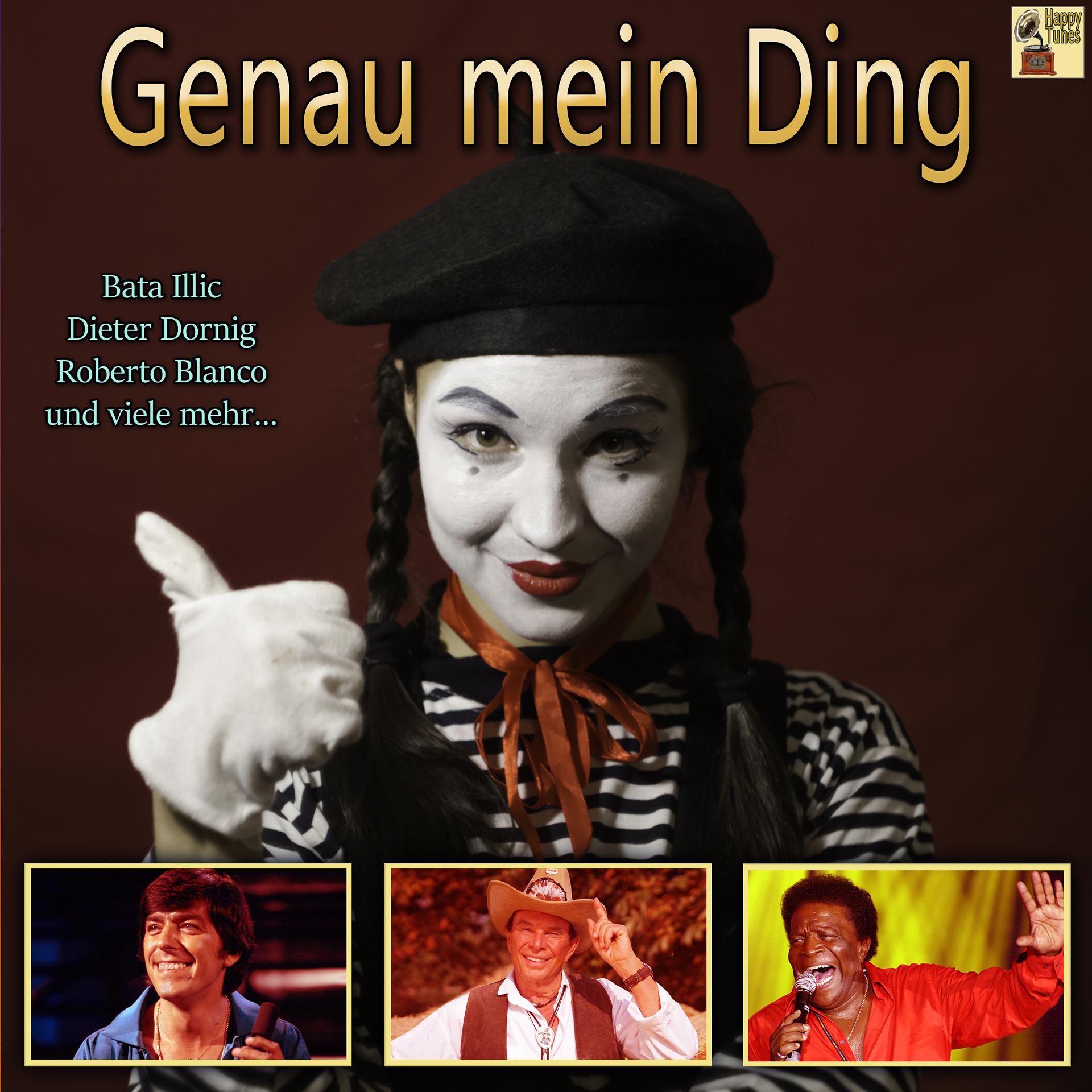 Постер альбома Genau mein Ding