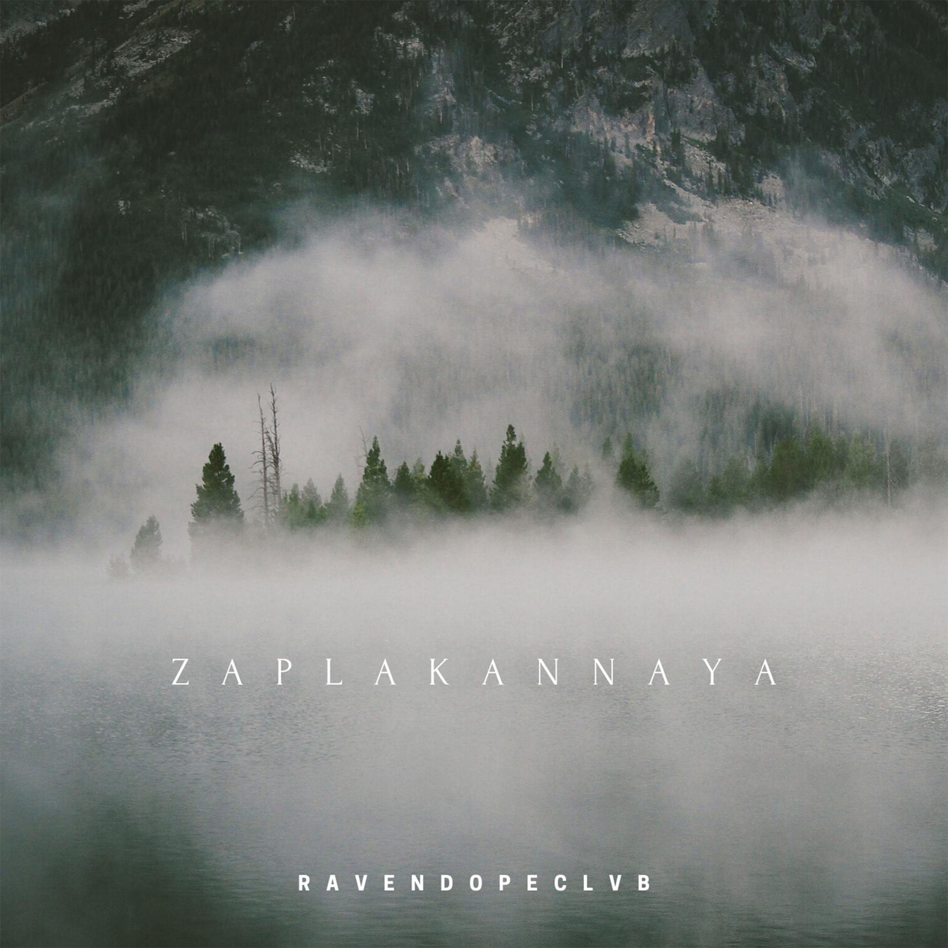 Постер альбома Zaplakannaya