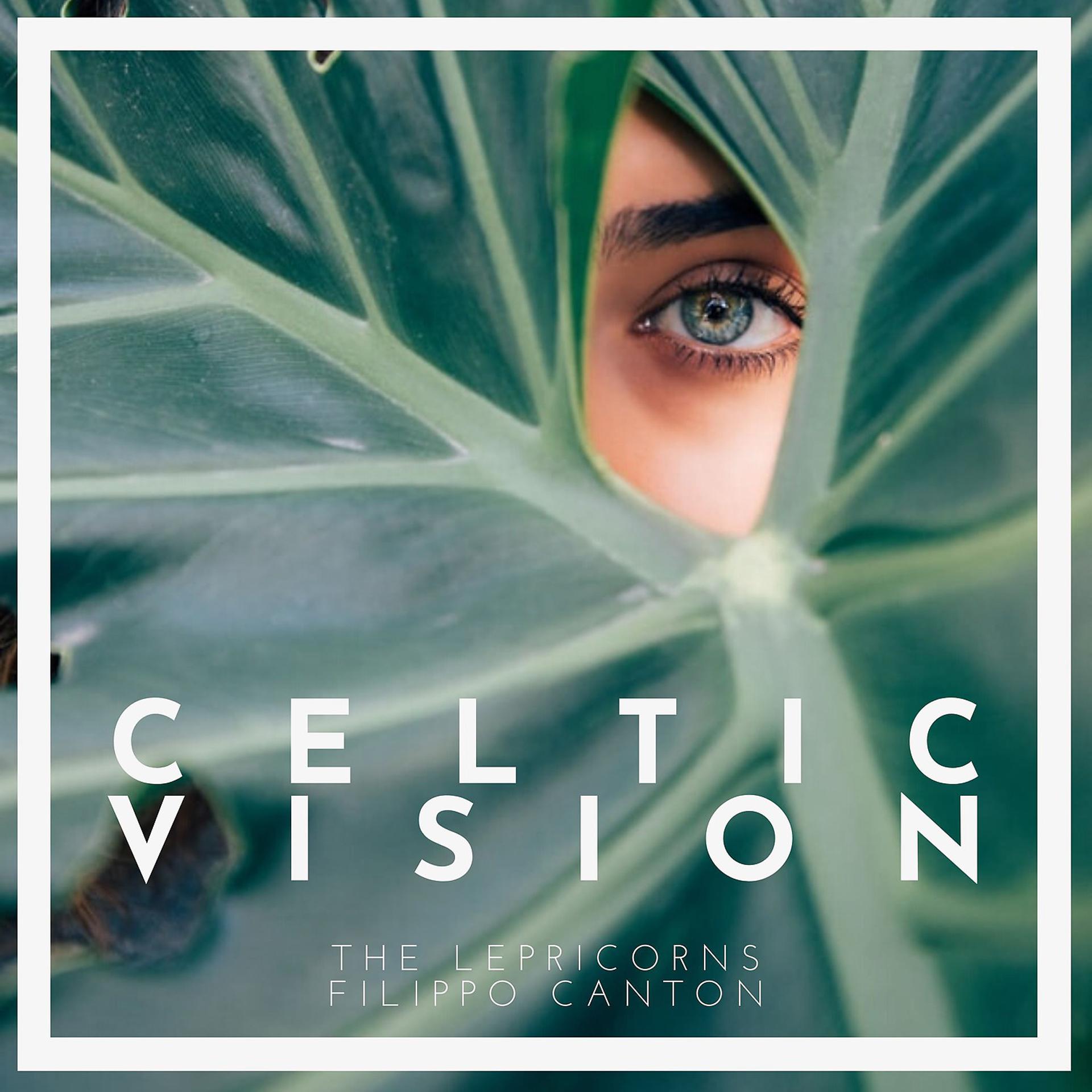 Постер альбома Celtic Vision