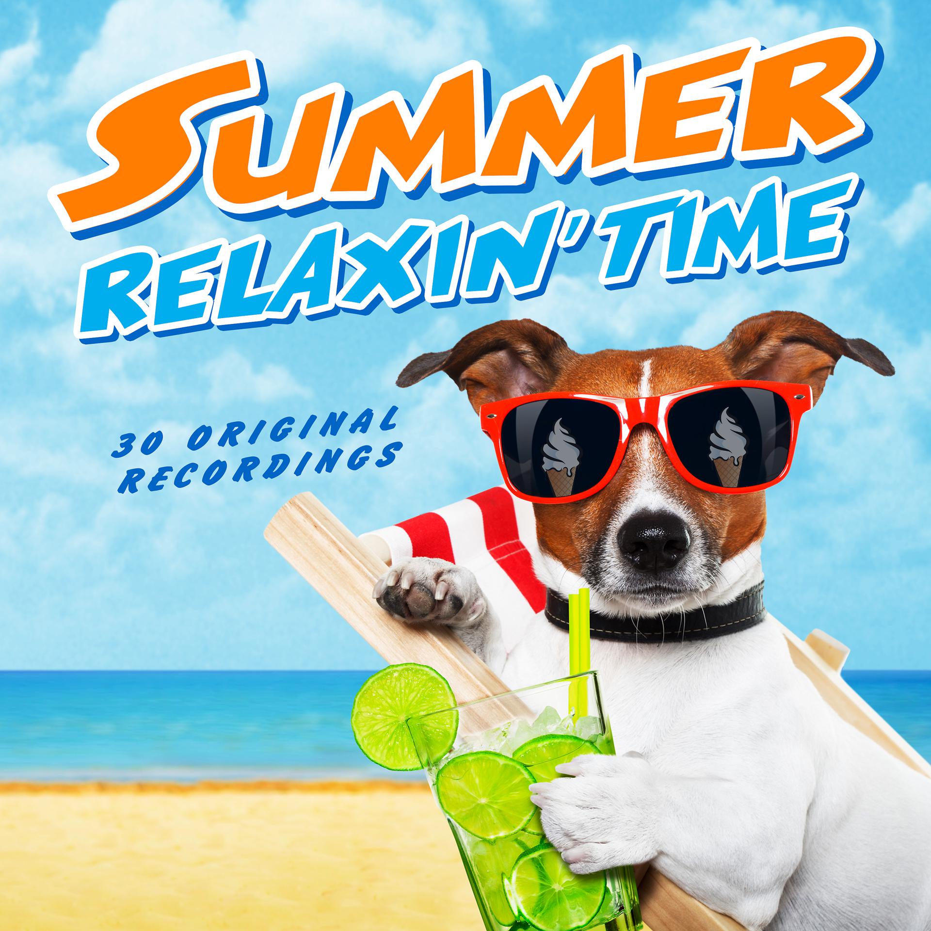 Постер альбома Summer Relaxin' Time