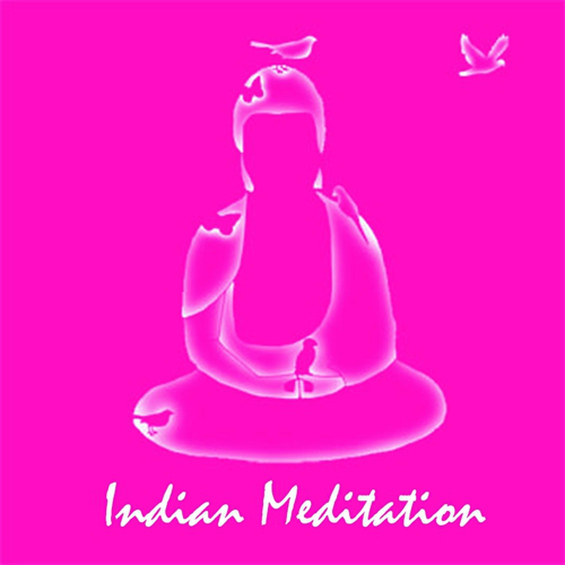 Постер альбома Indian Meditation