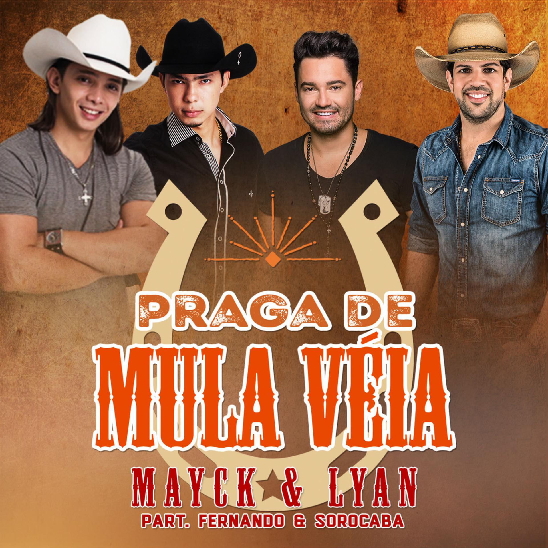 Постер альбома Praga de Mula Véia - Single