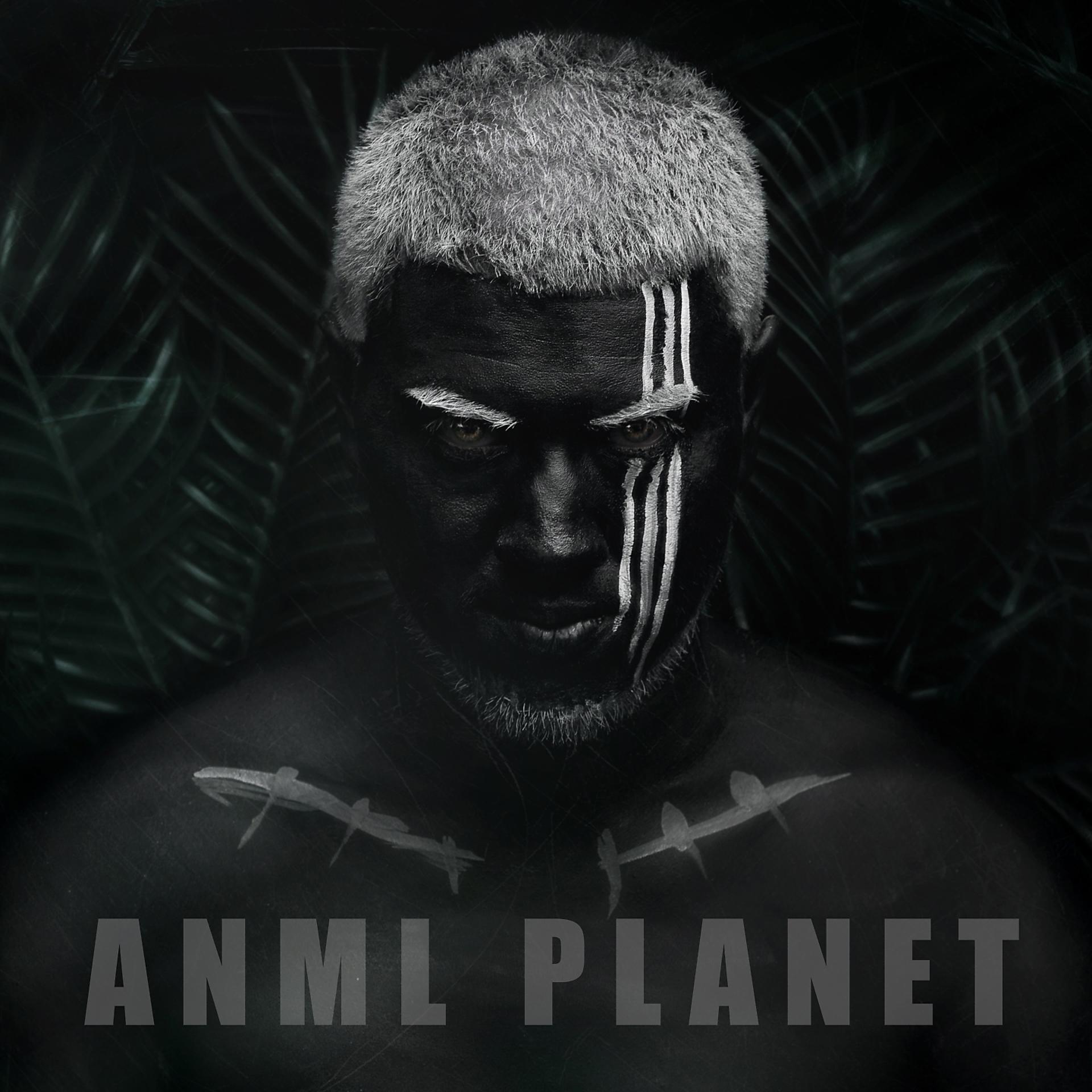 Постер альбома Anml Planet