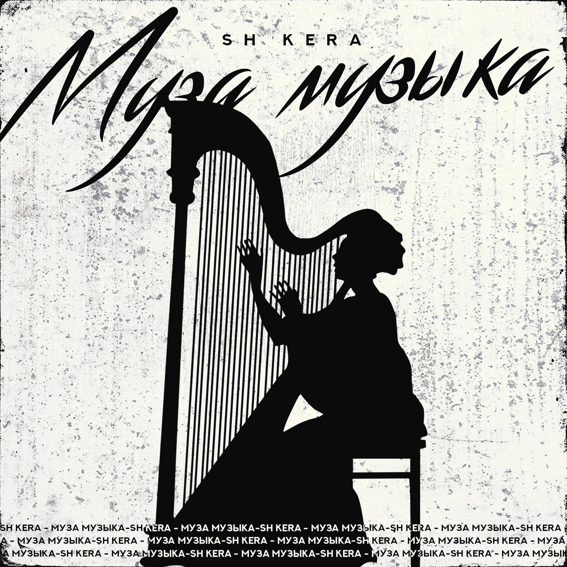 Постер альбома Муза музыка