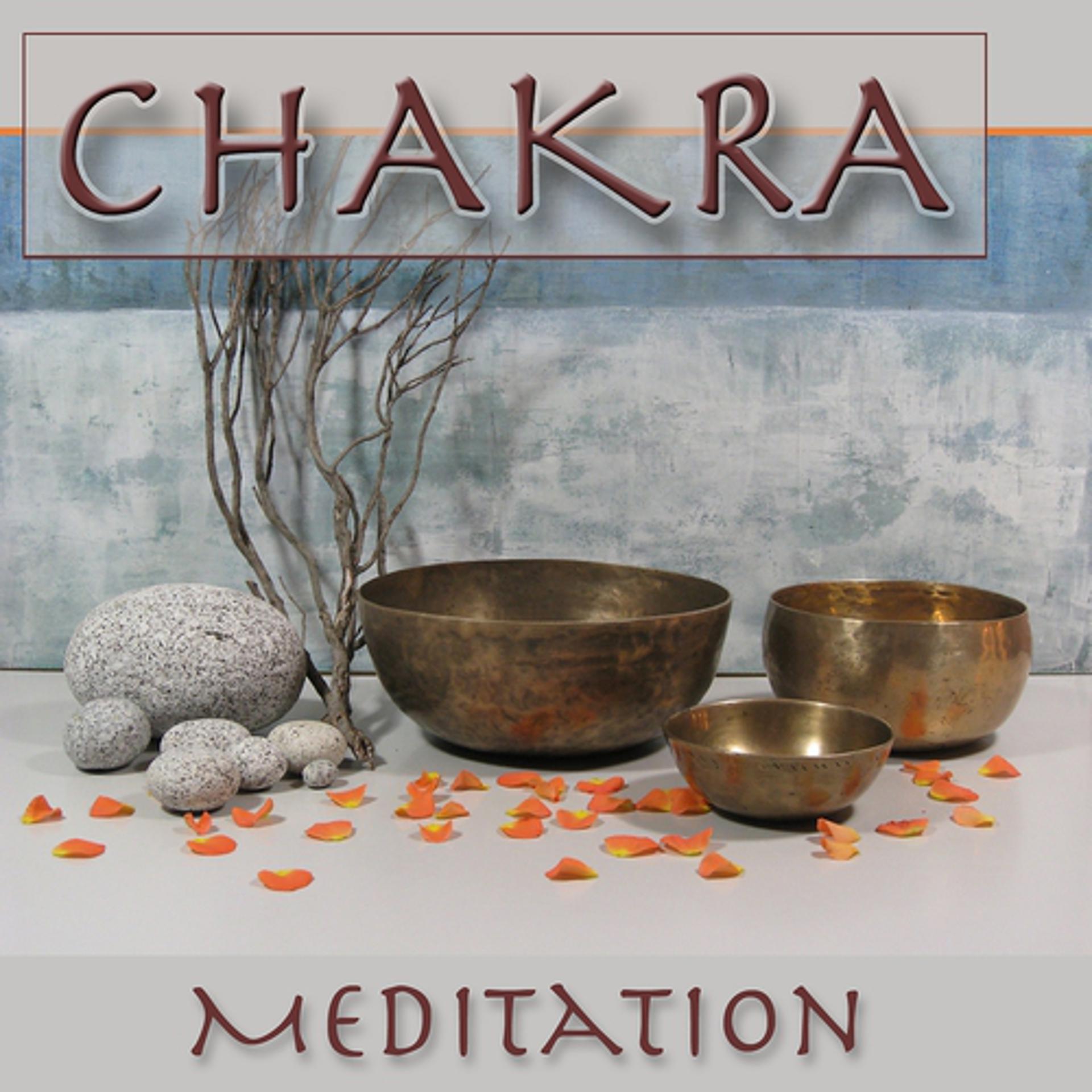 Постер альбома Chakra Meditation