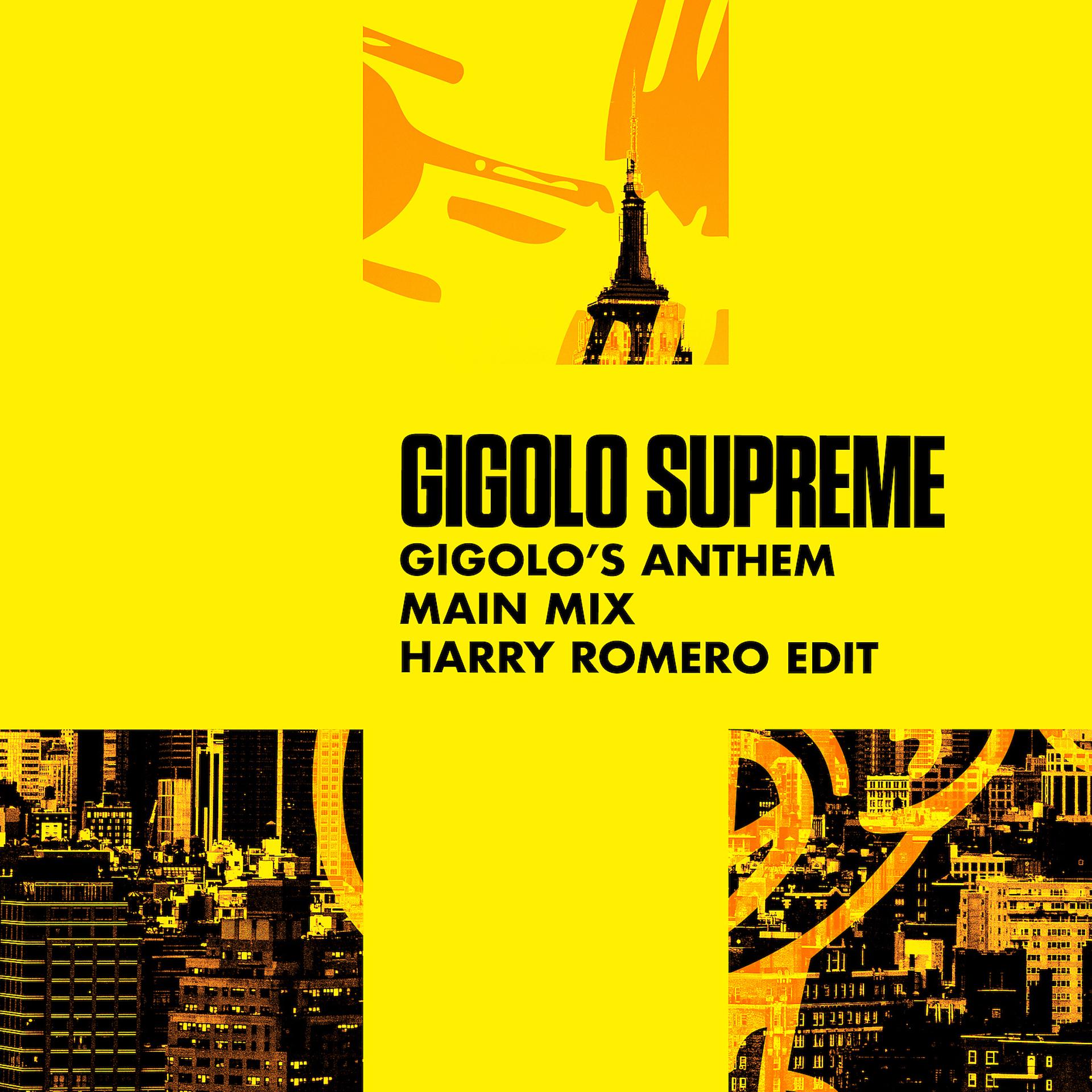 Постер альбома Gigolo's Anthem (Harry Romero Edit)