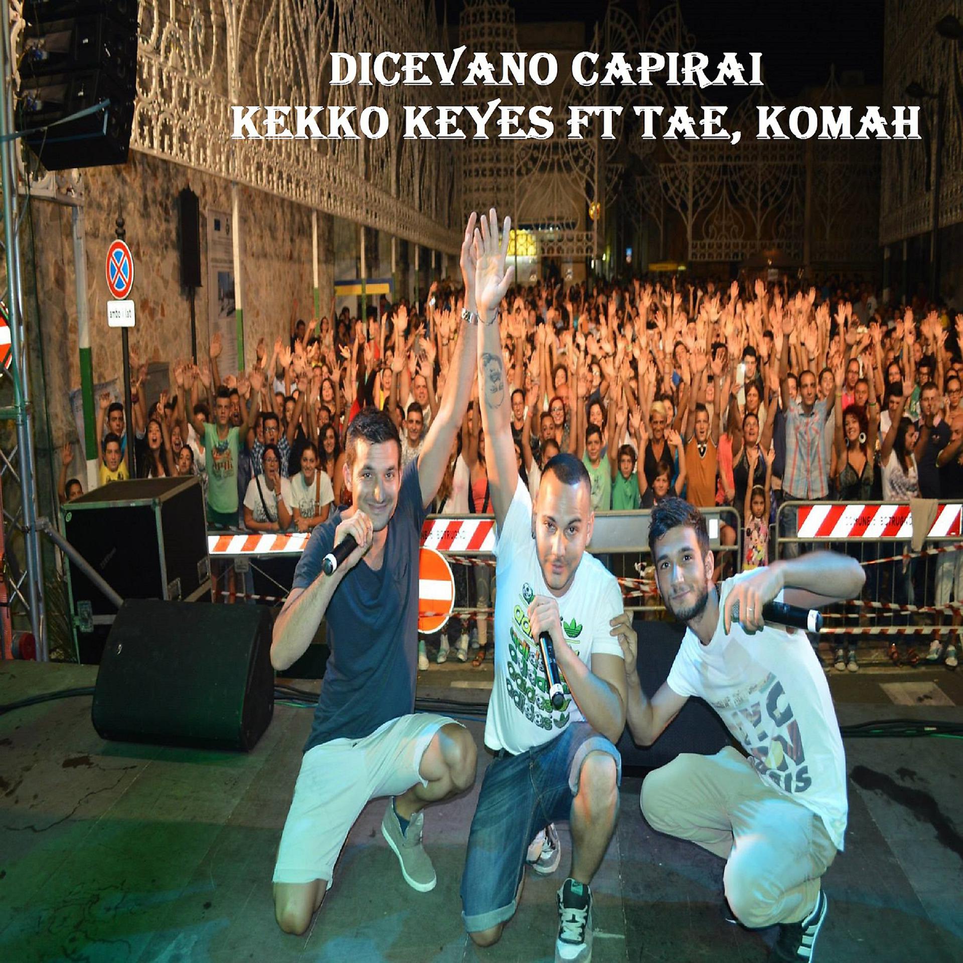 Постер альбома Dicevano capirai