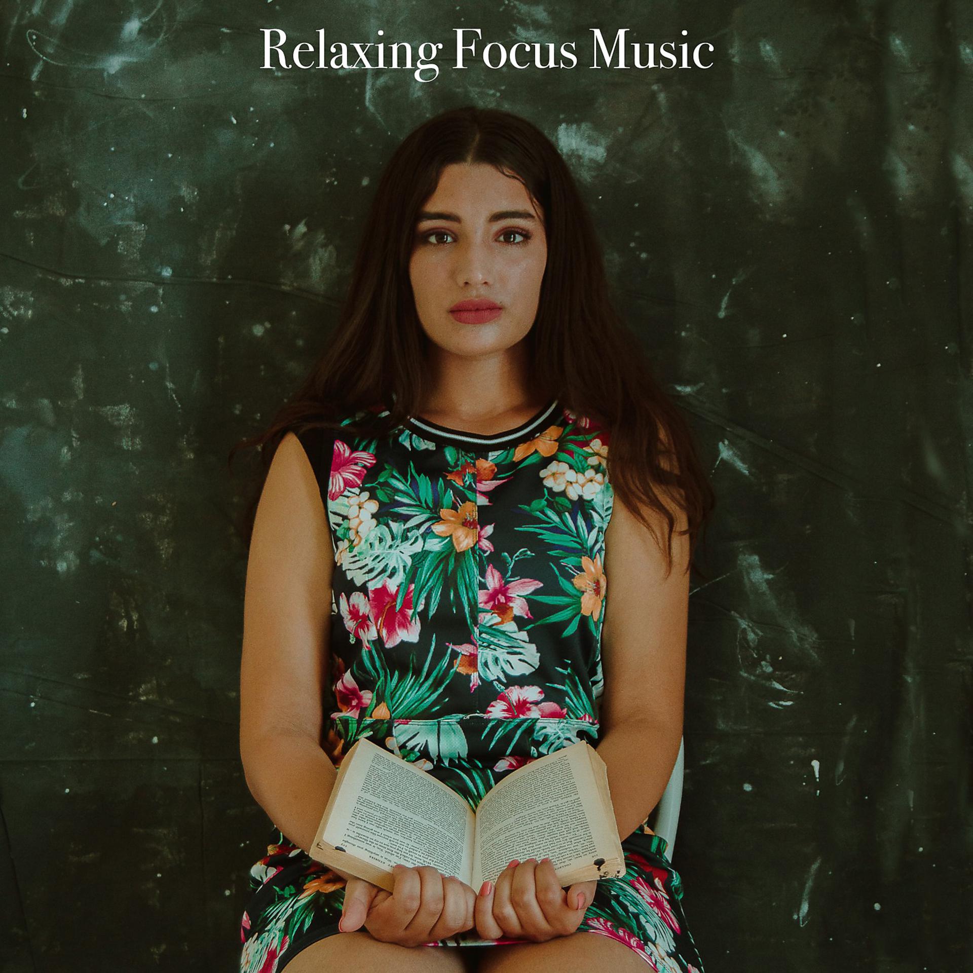 Постер альбома Relaxing Focus Music