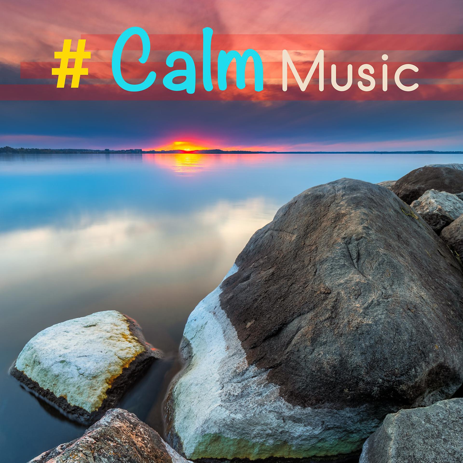 Постер альбома # Calm Music