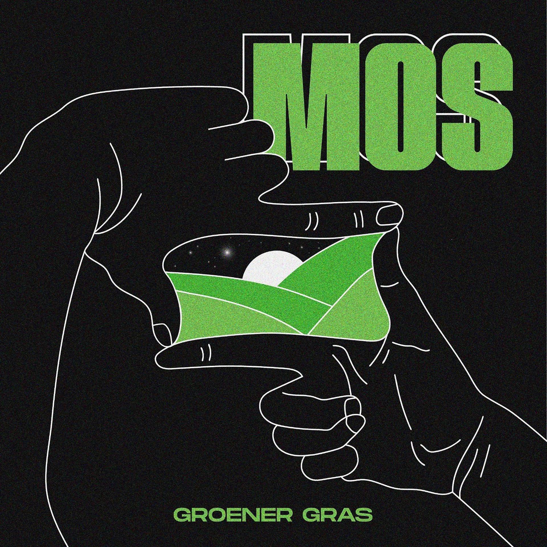Постер альбома Groener Gras
