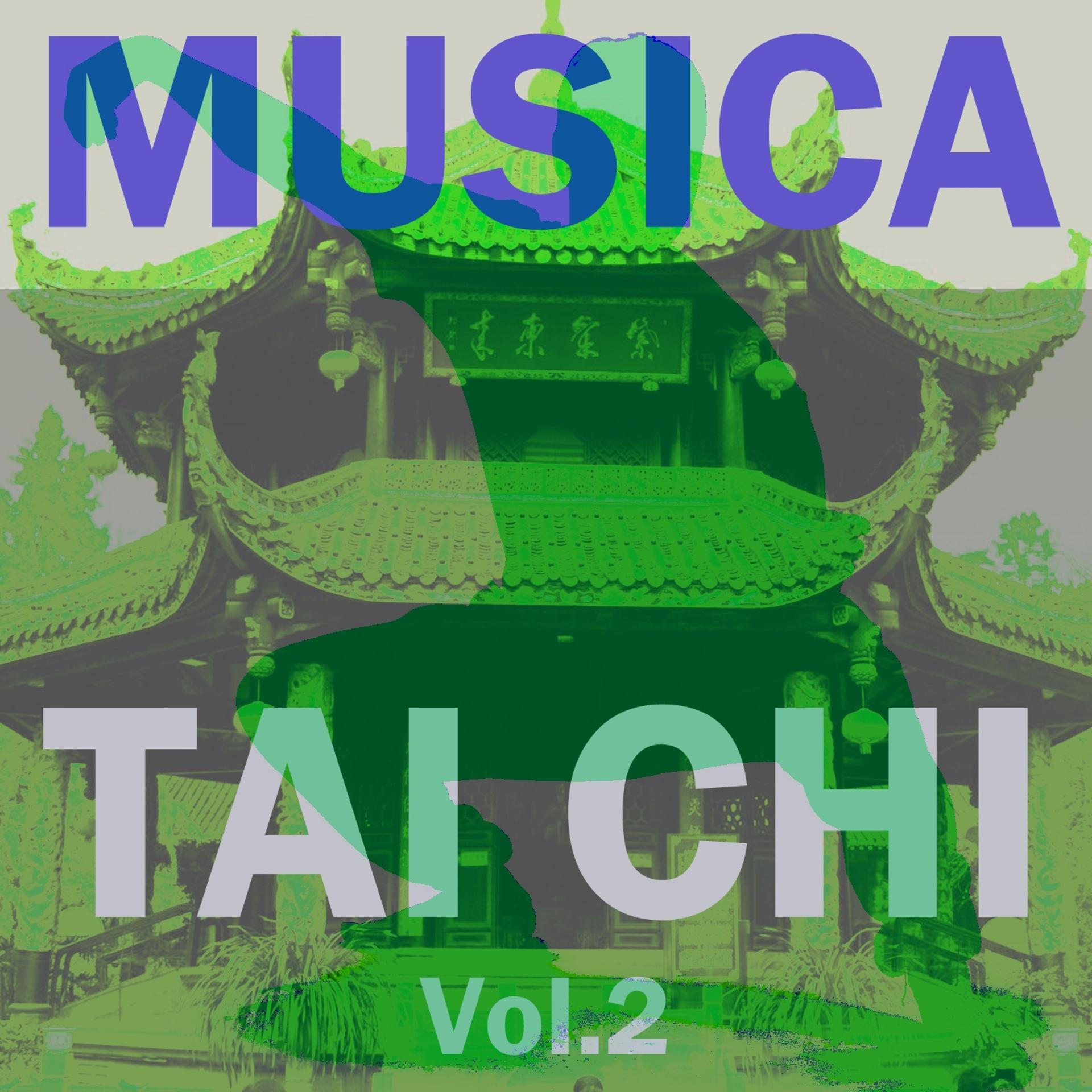 Постер альбома Musica Tai Chi, Vol. 2