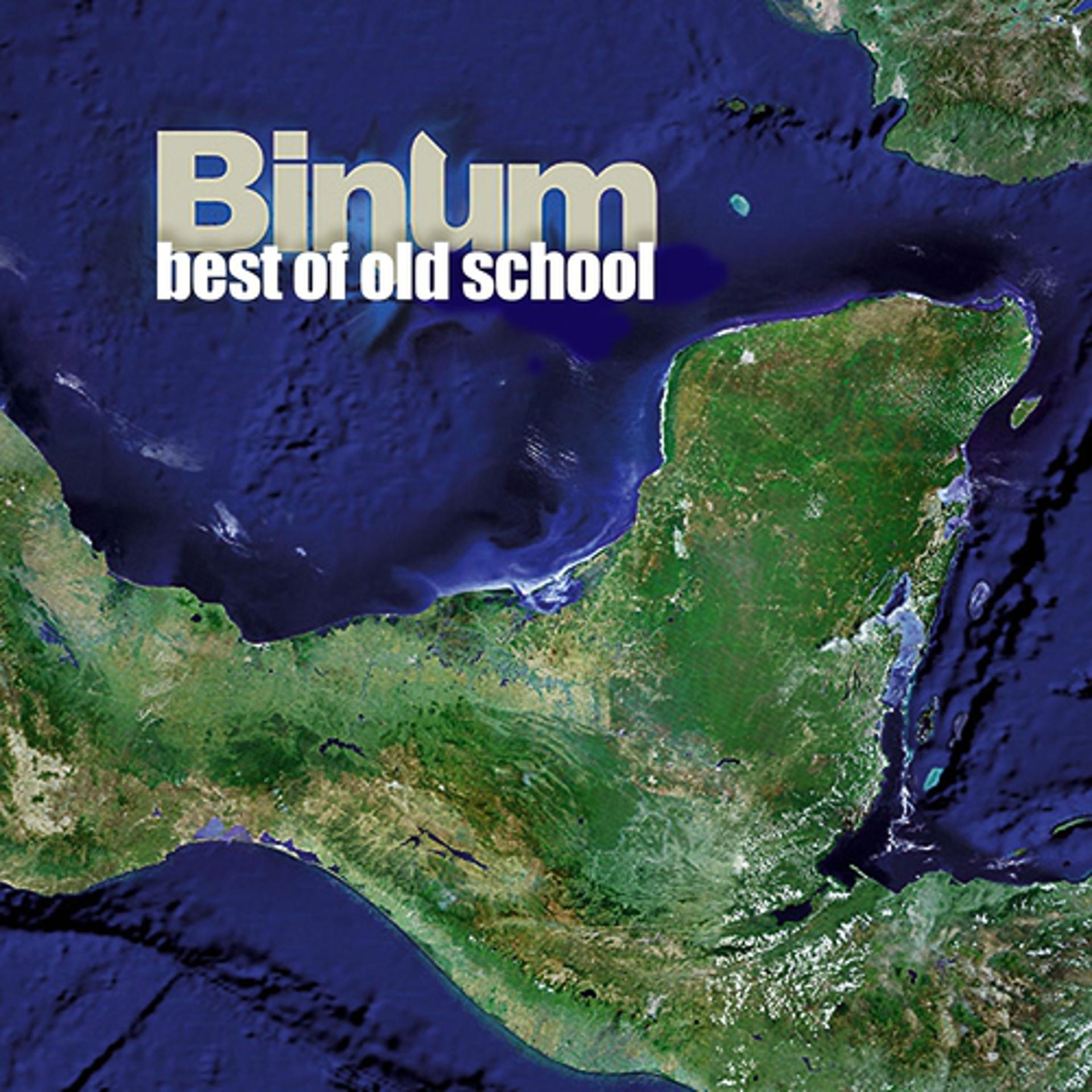 Постер альбома Best Of Binum Oldschool