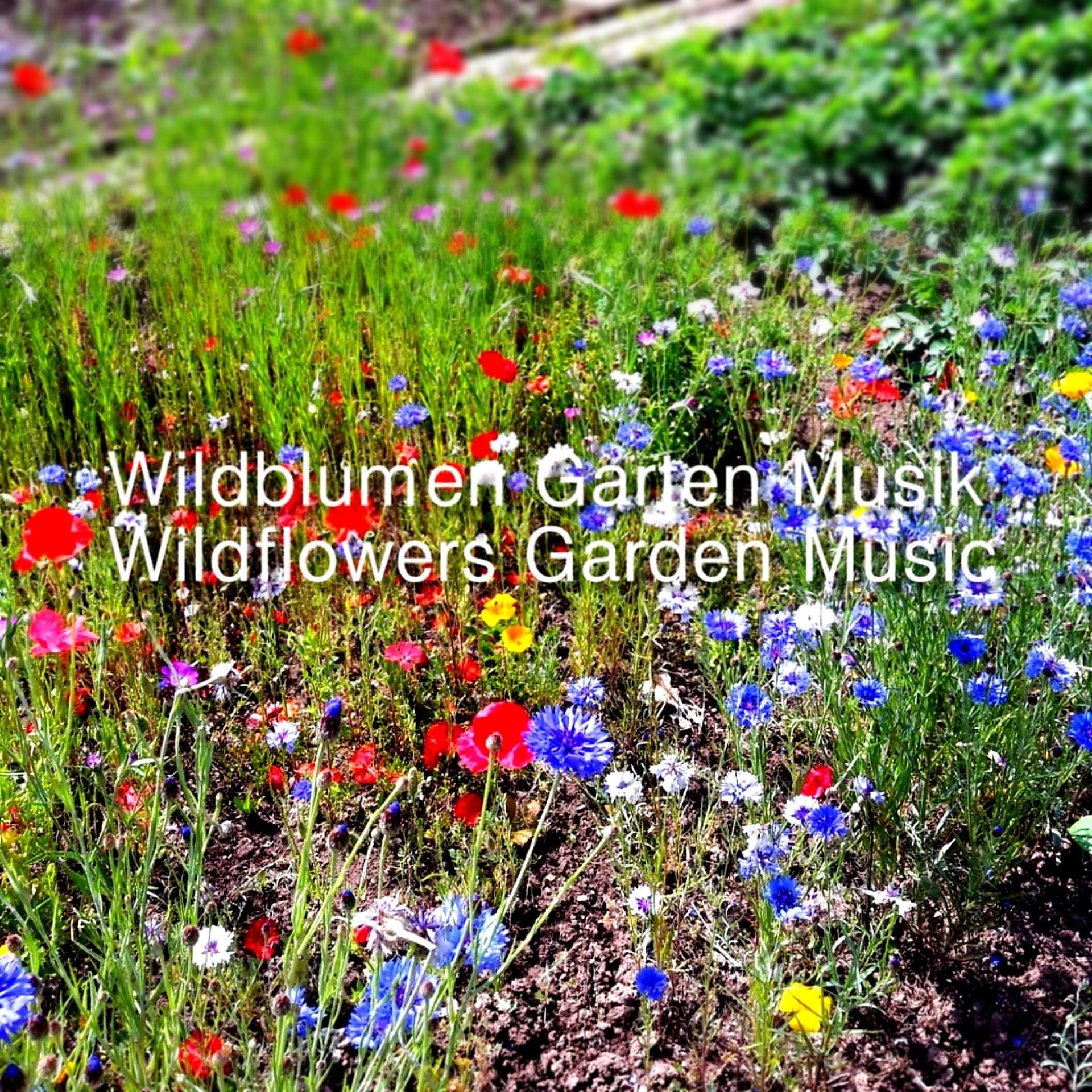 Постер альбома Wildflowers Garden Music