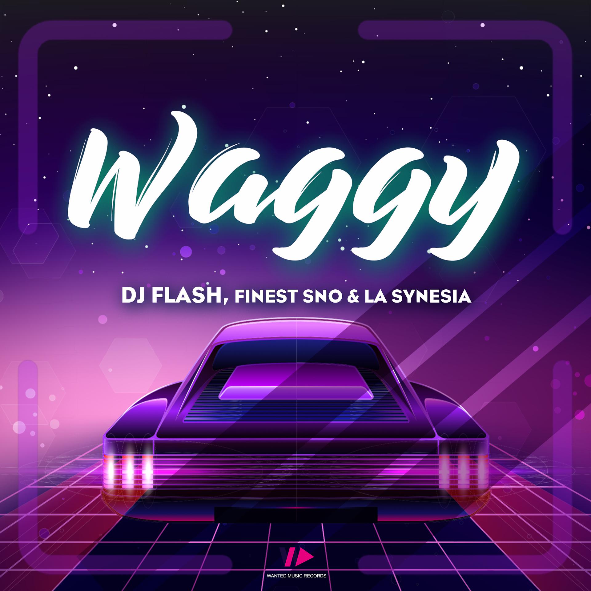 Постер альбома Waggy