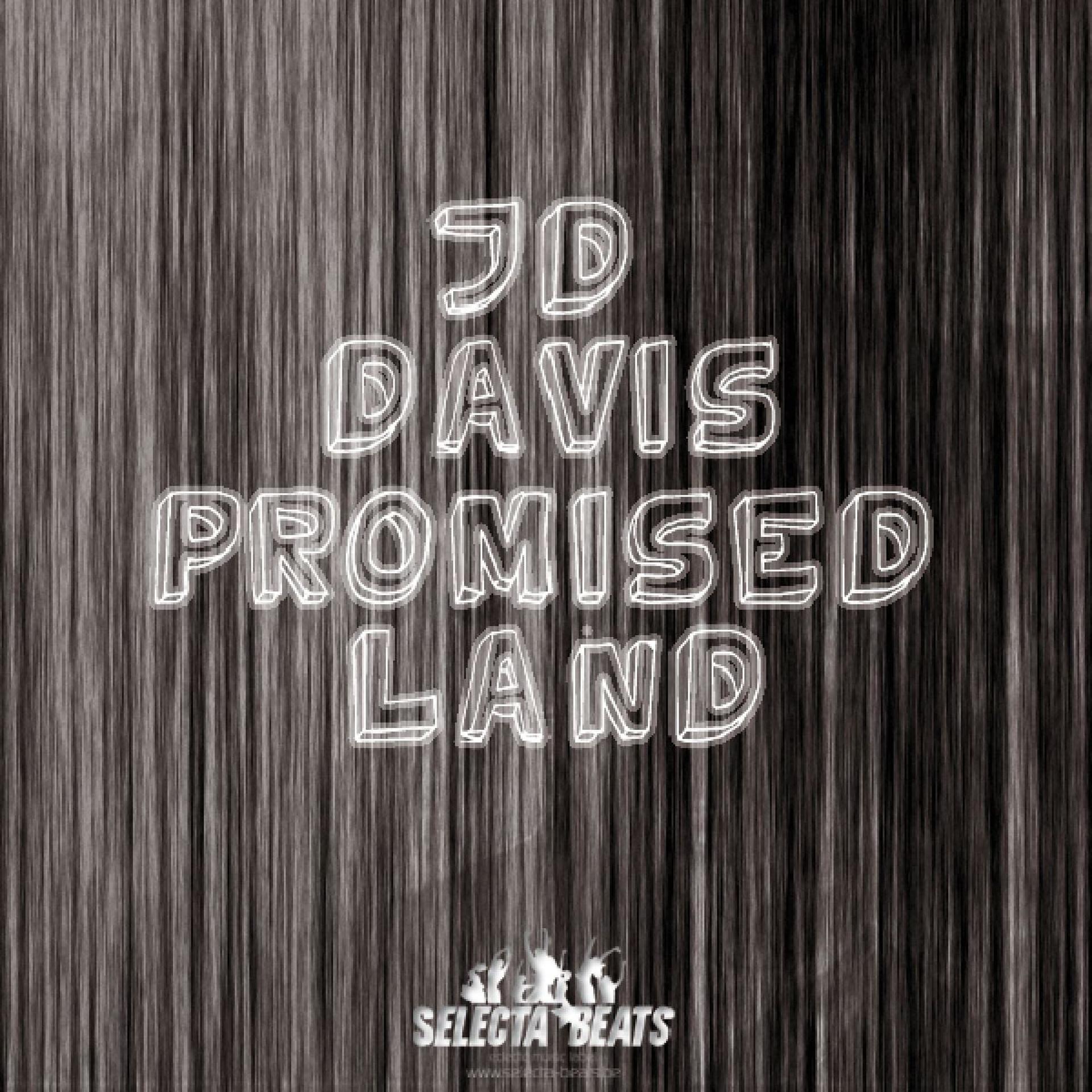 Постер альбома Promised Land 2010 (Traxsource Edition)