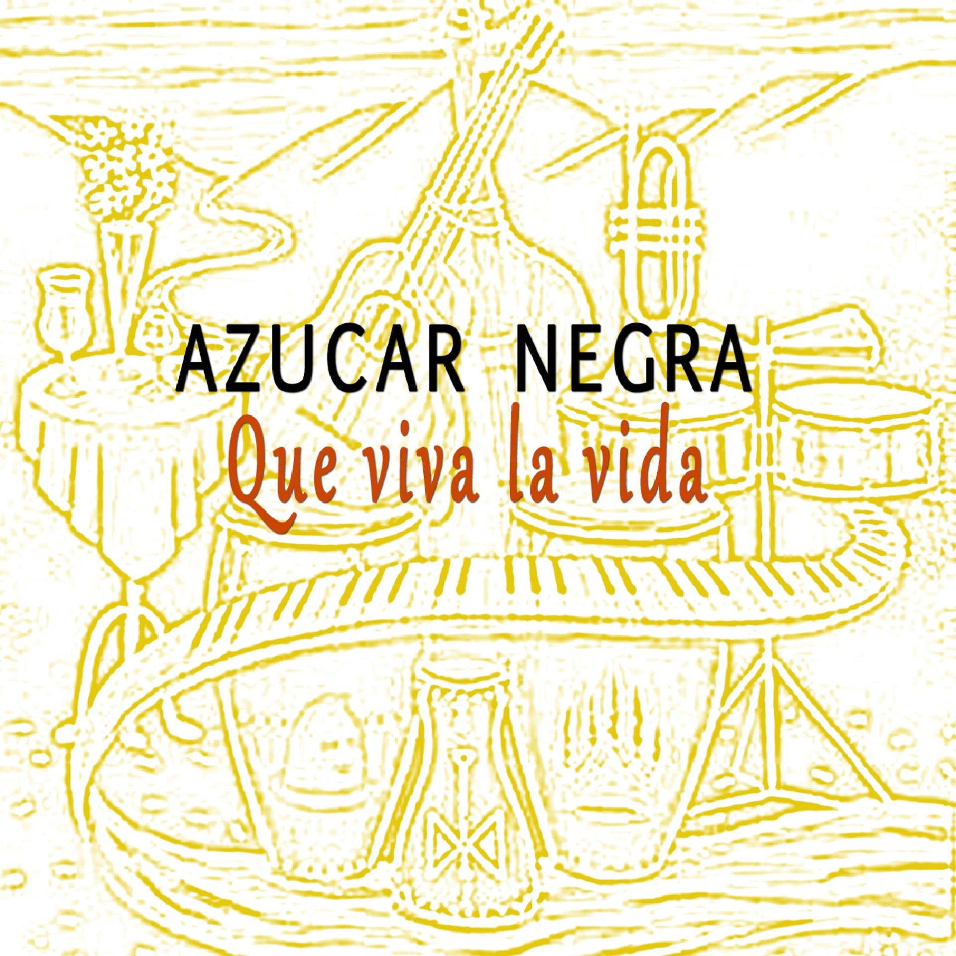 Постер альбома Que Viva la Vida