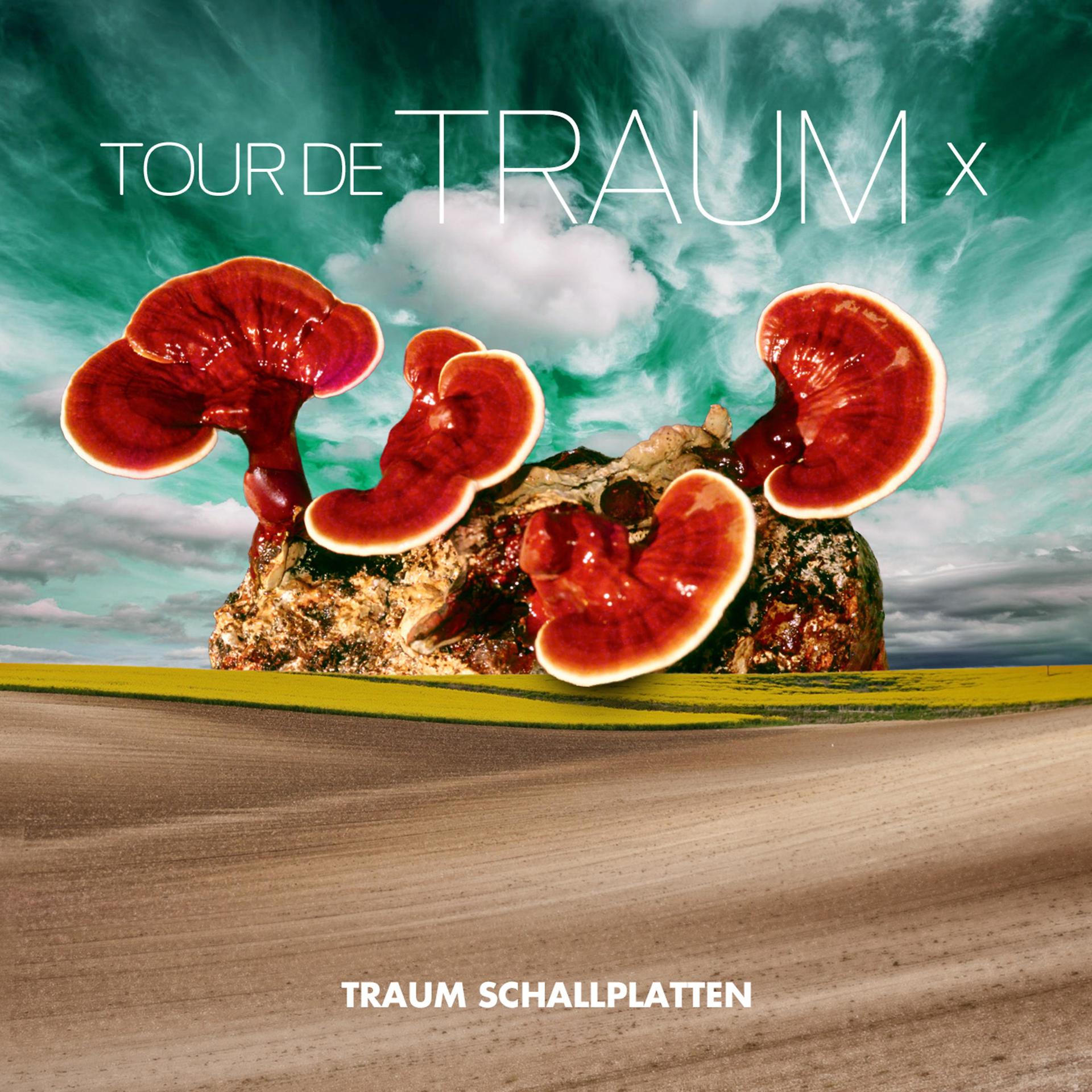 Постер альбома Tour De Traum X