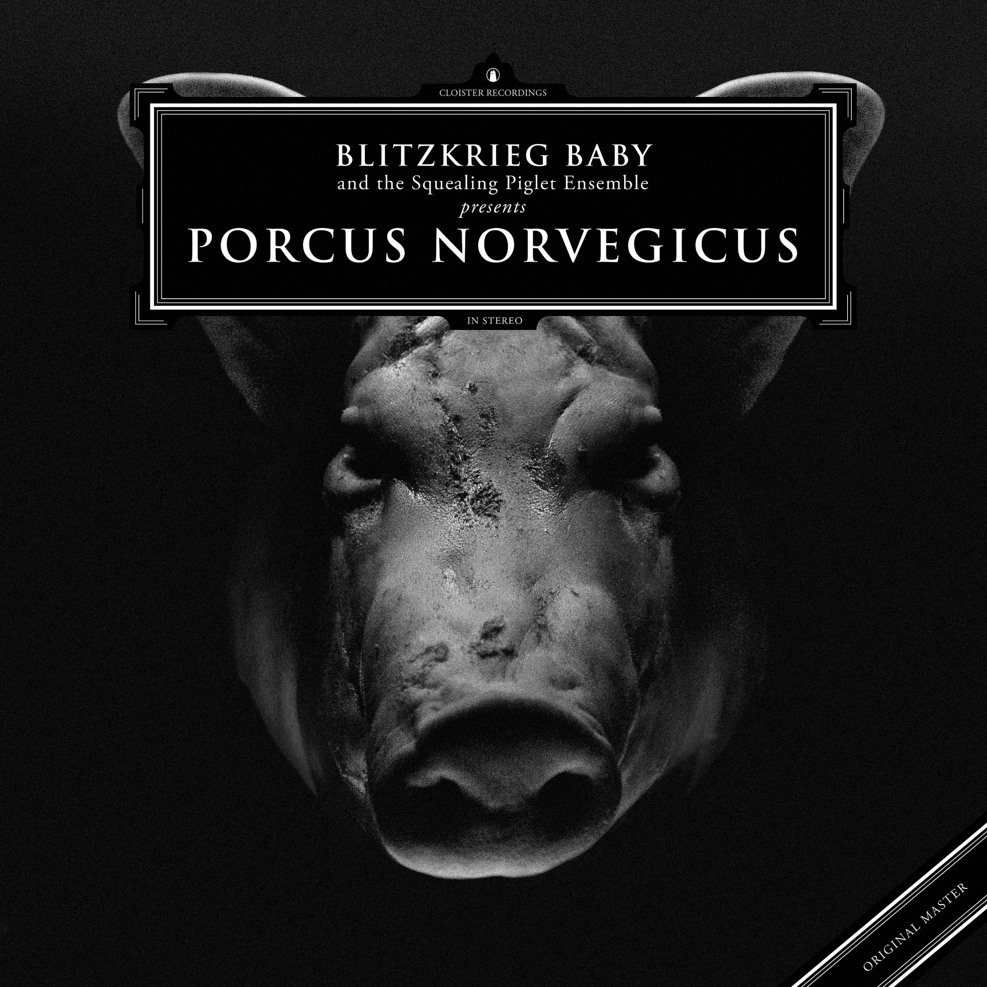 Постер альбома Porcus Norvegicus