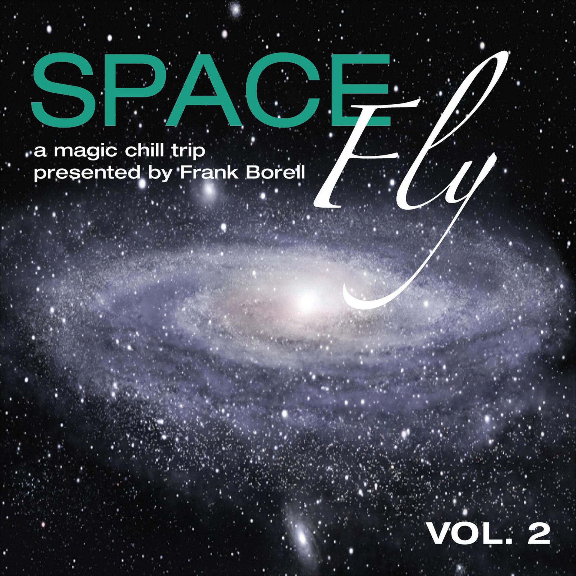 Постер альбома Space Fly, Vol. 2 - A Magic Chill Trip Presented by Frank Borell
