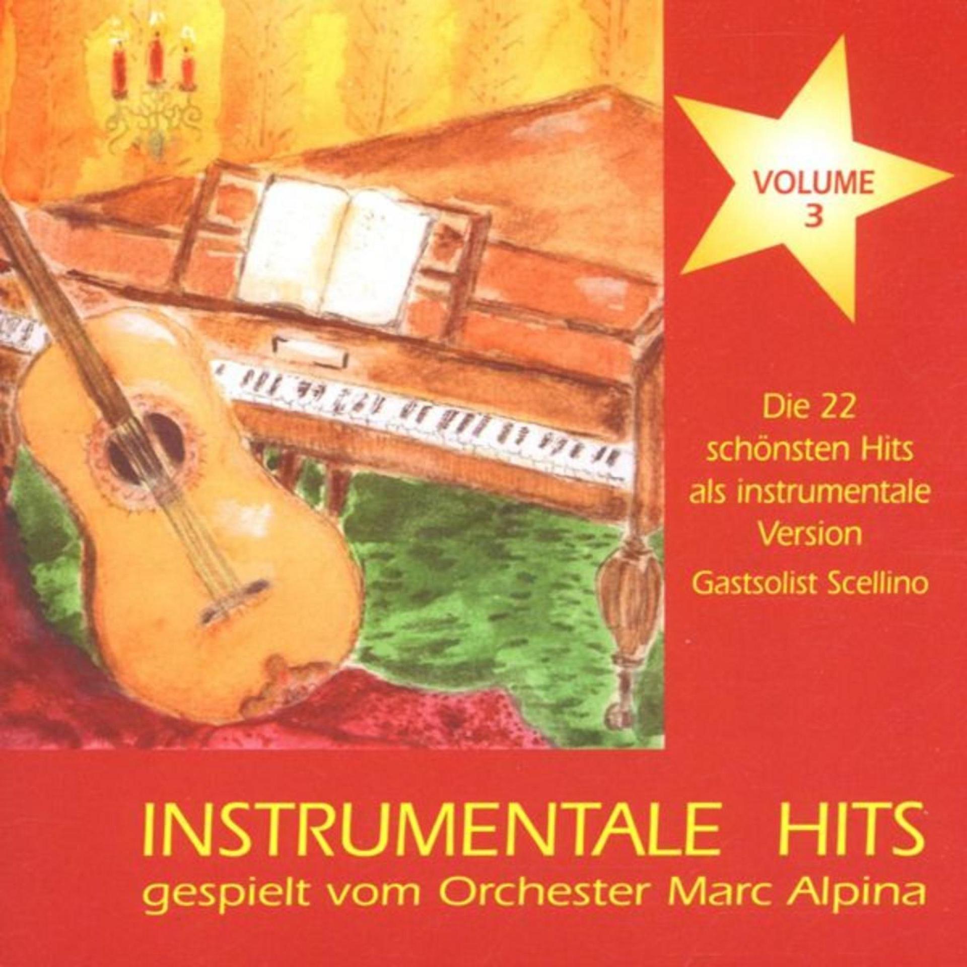 Постер альбома Instrumentale Hits, Vol. 3