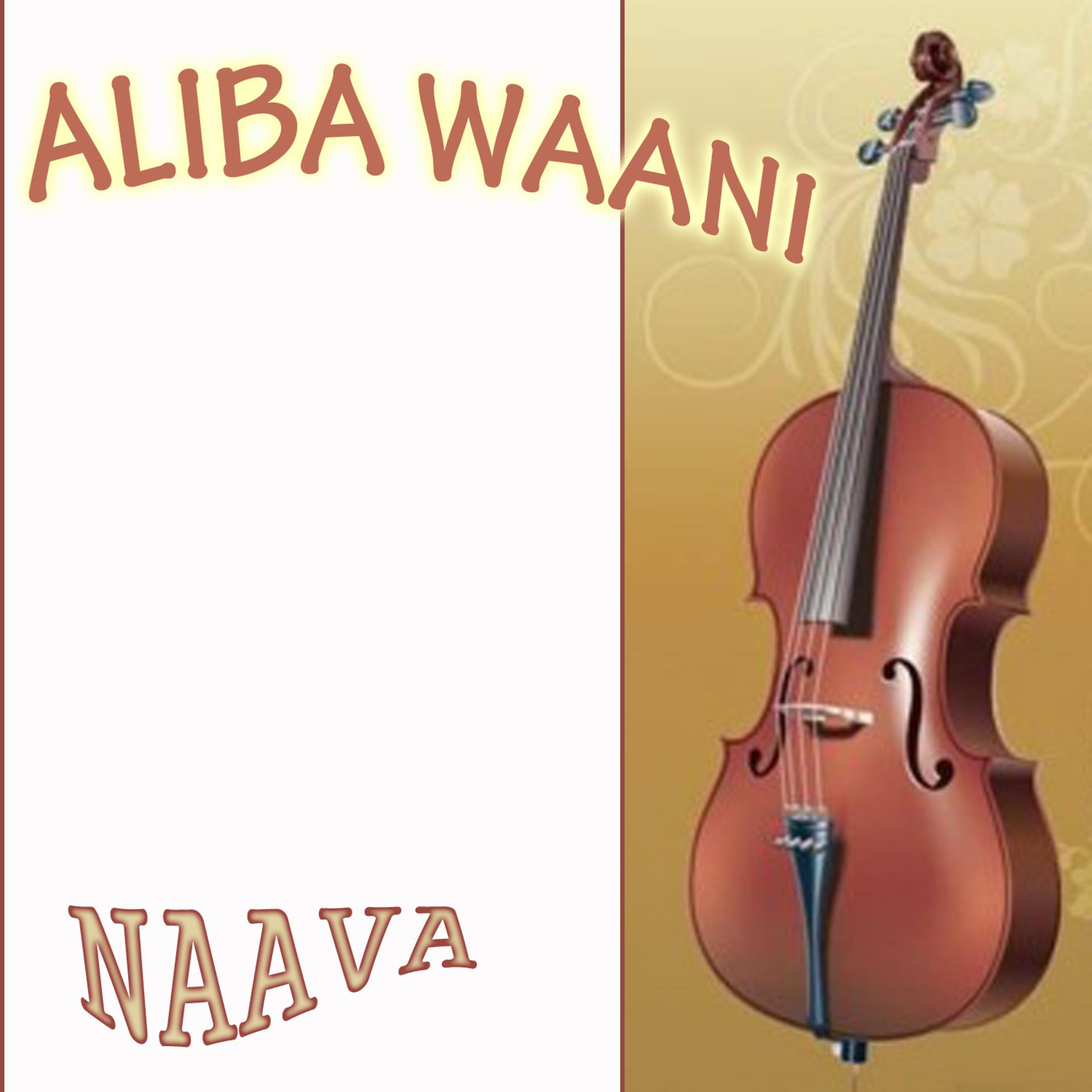 Постер альбома Aliba Waani
