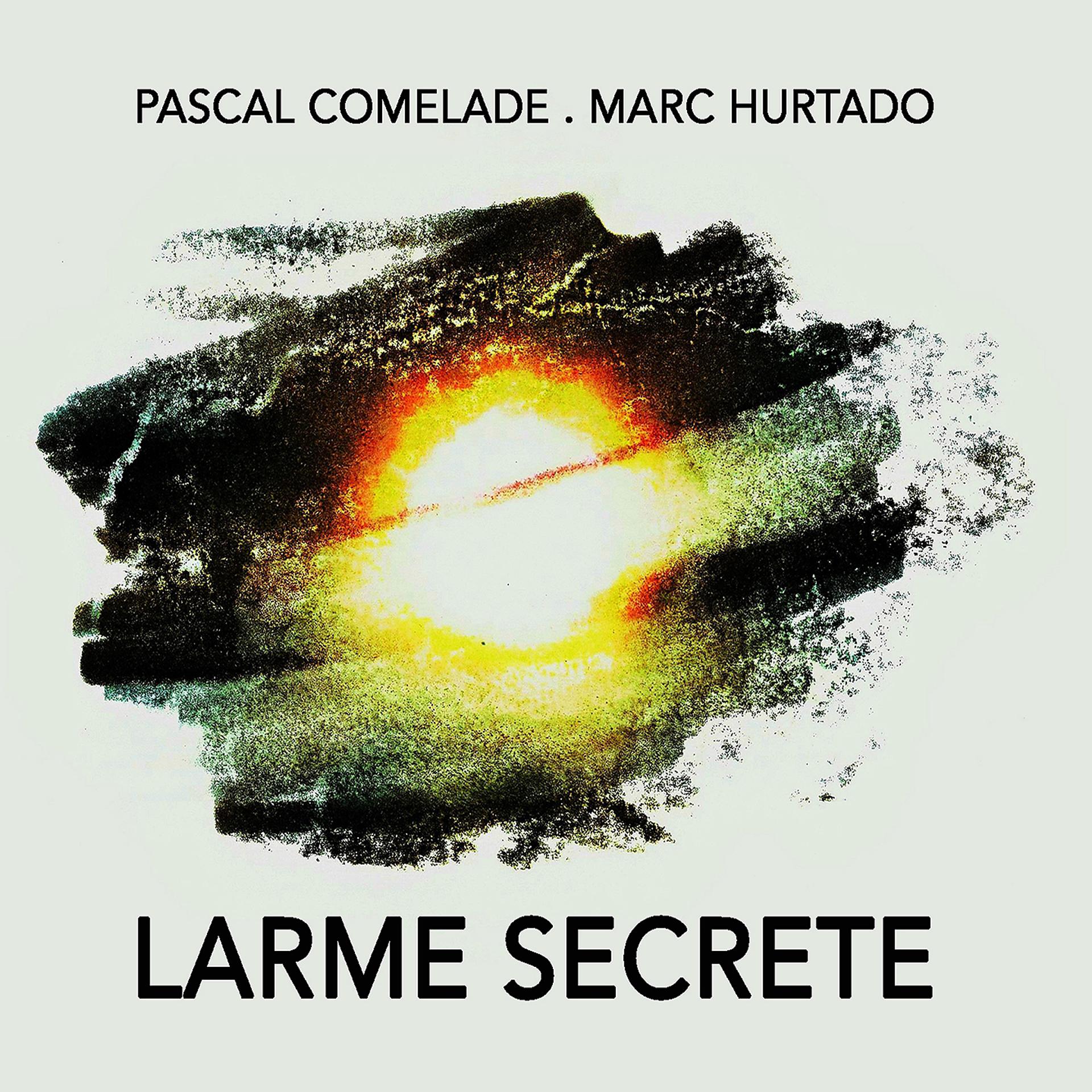 Постер альбома Larme secrete