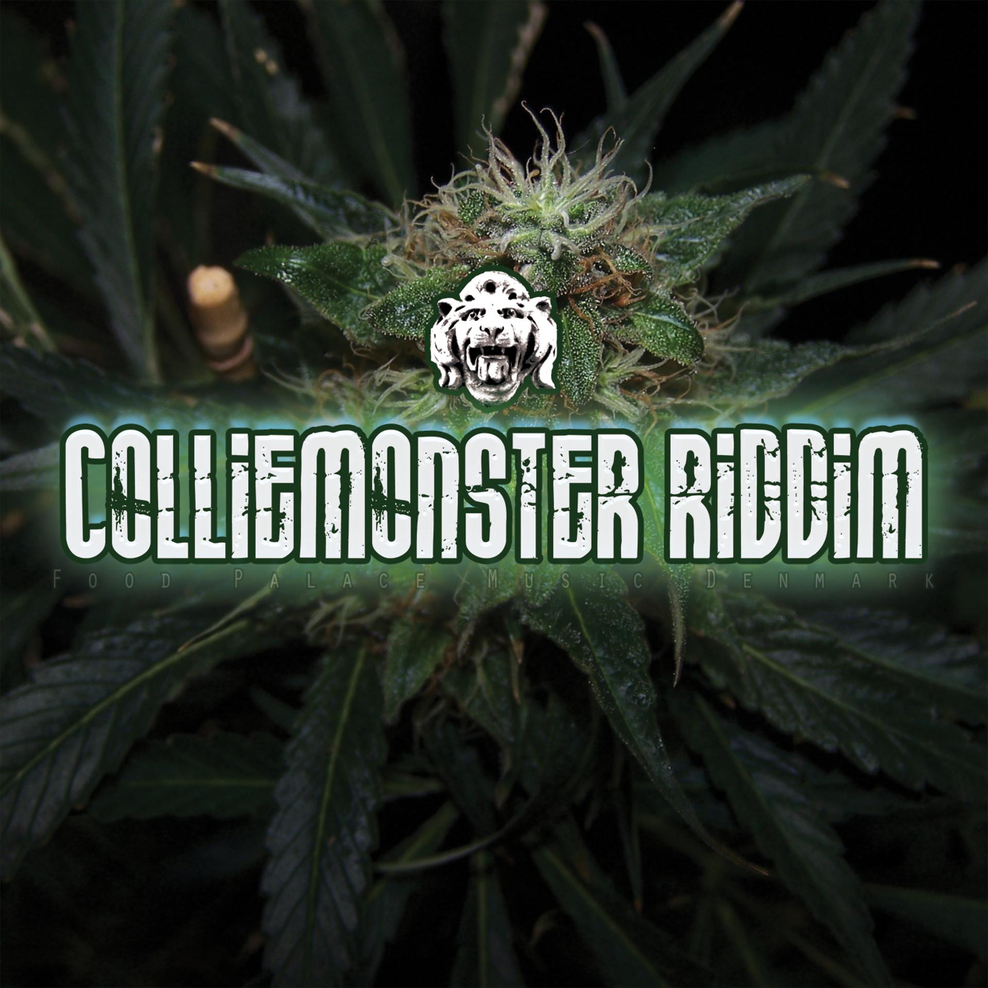 Постер альбома Colliemonster Riddim