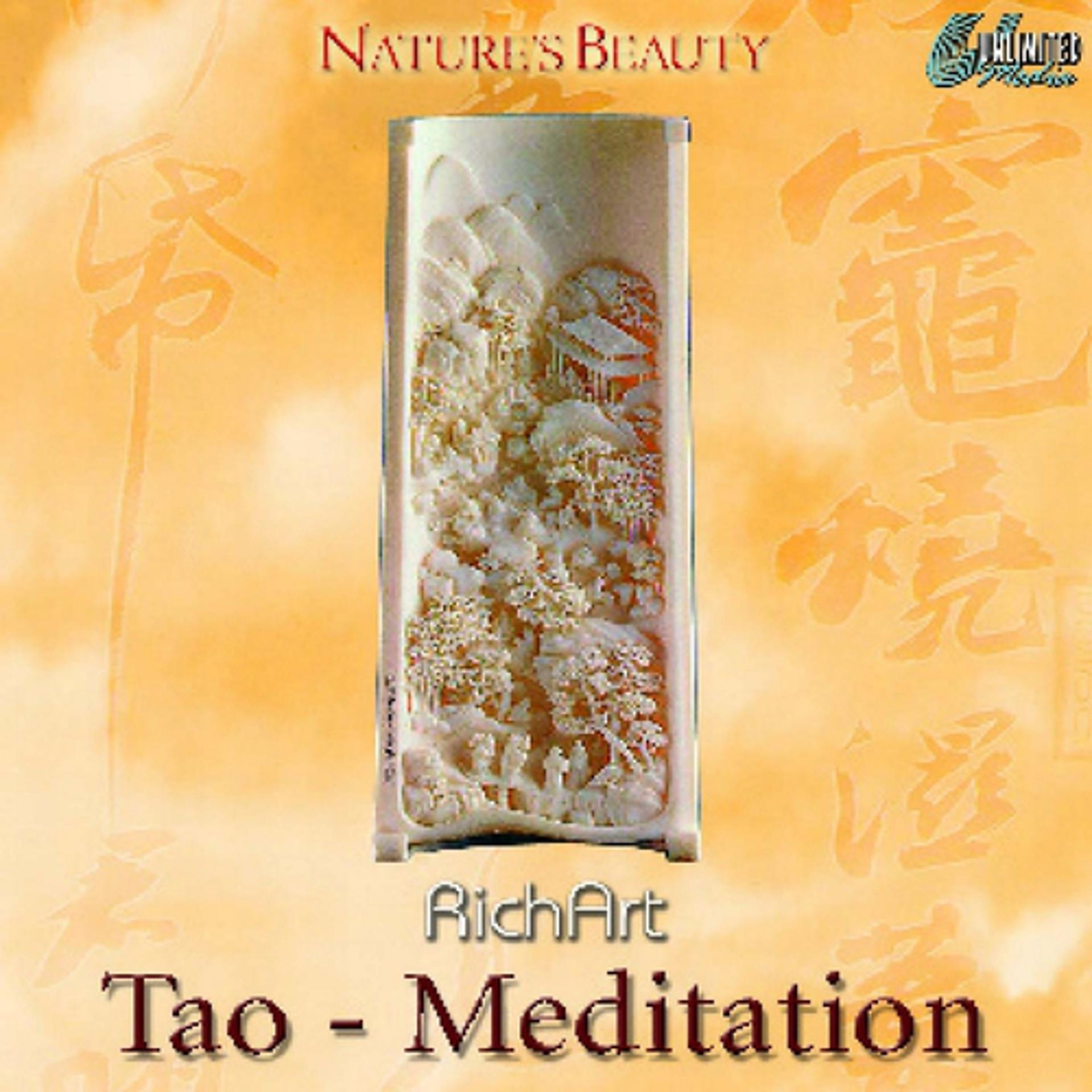 Постер альбома Tao - Meditation
