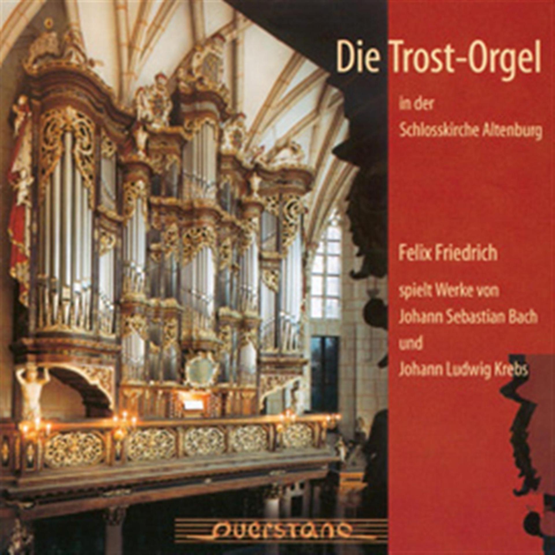 Постер альбома Die Trostorgel in der Schlokirche zu Altenburg