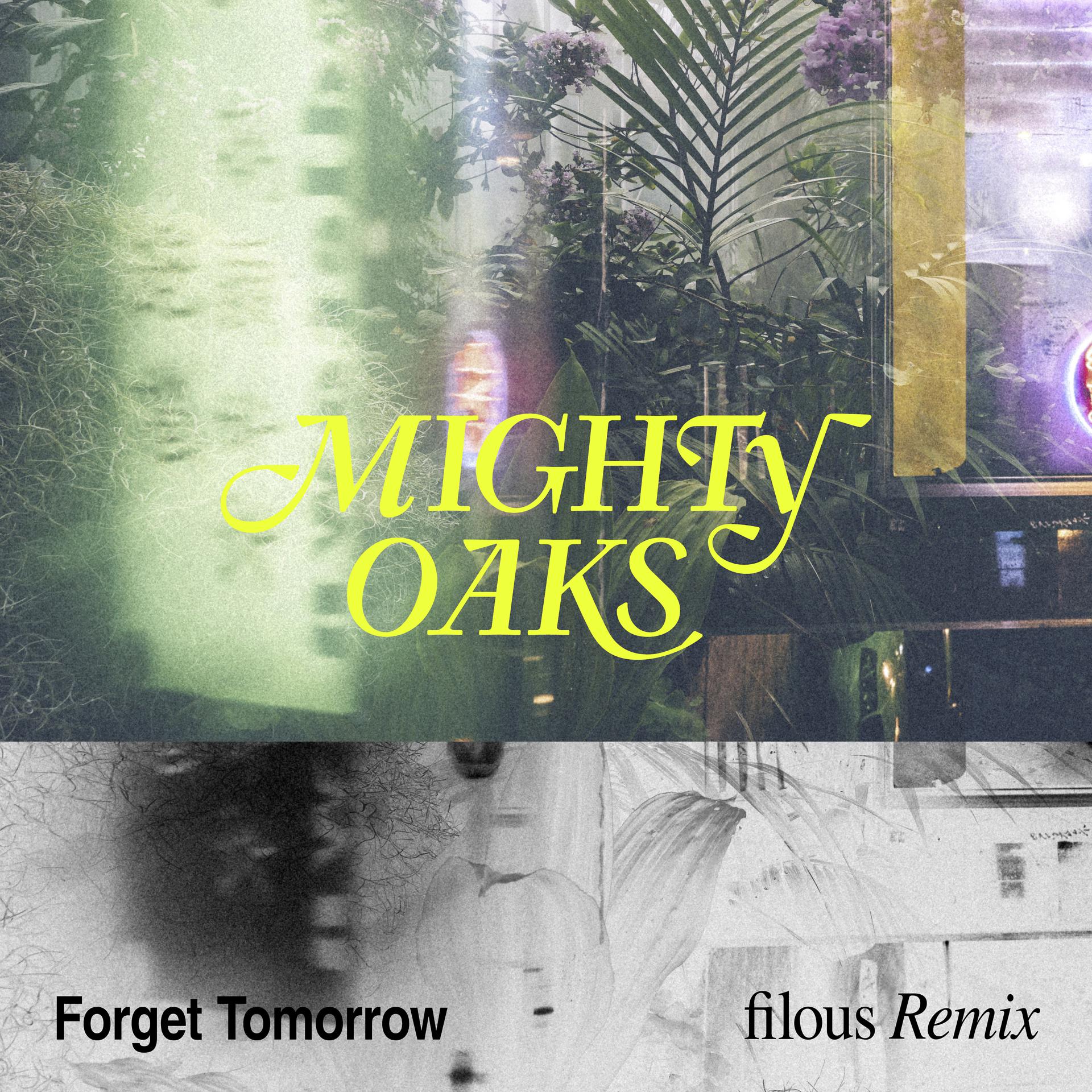 Постер альбома Forget Tomorrow (filous Remix)