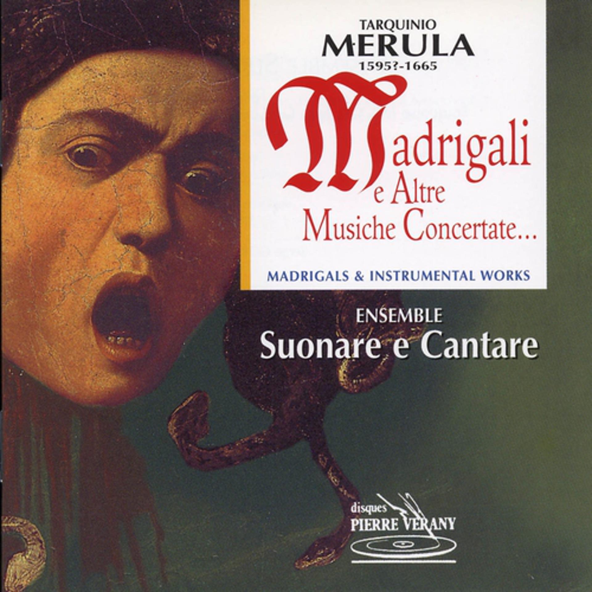 Постер альбома Merula : Madrigali e altre musiche concertate...
