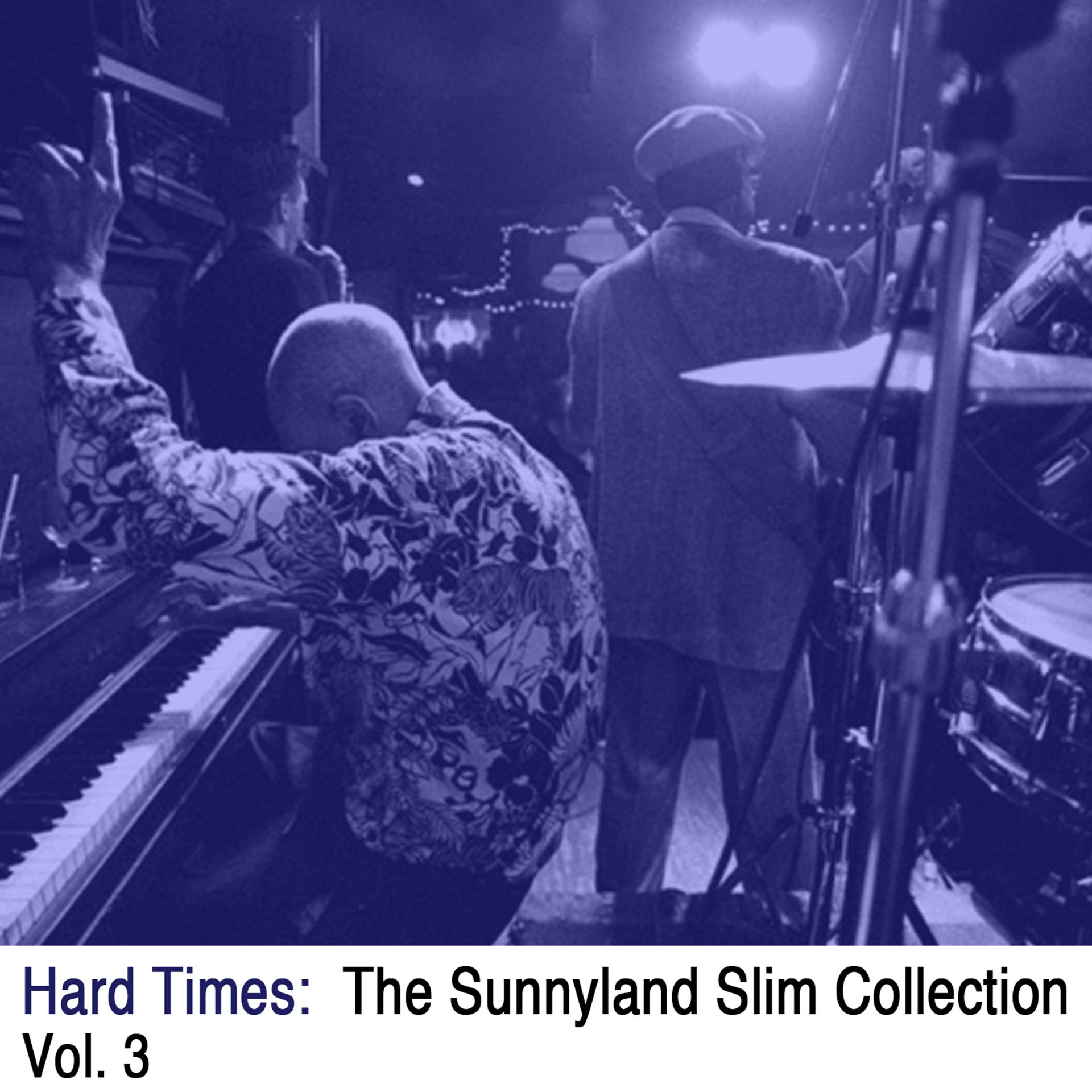 Постер альбома Hard Times: The Sunnyland Slim Collection, Vol. 3