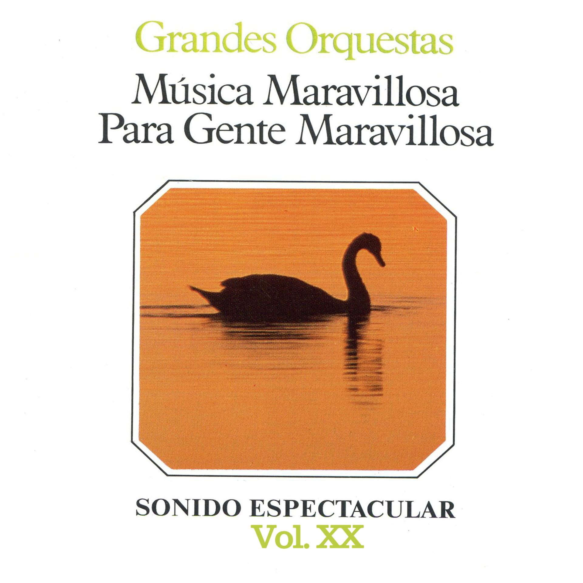 Постер альбома Música Maravillosa para Gente Maravillosa Grandes Orquestas Vol. XX