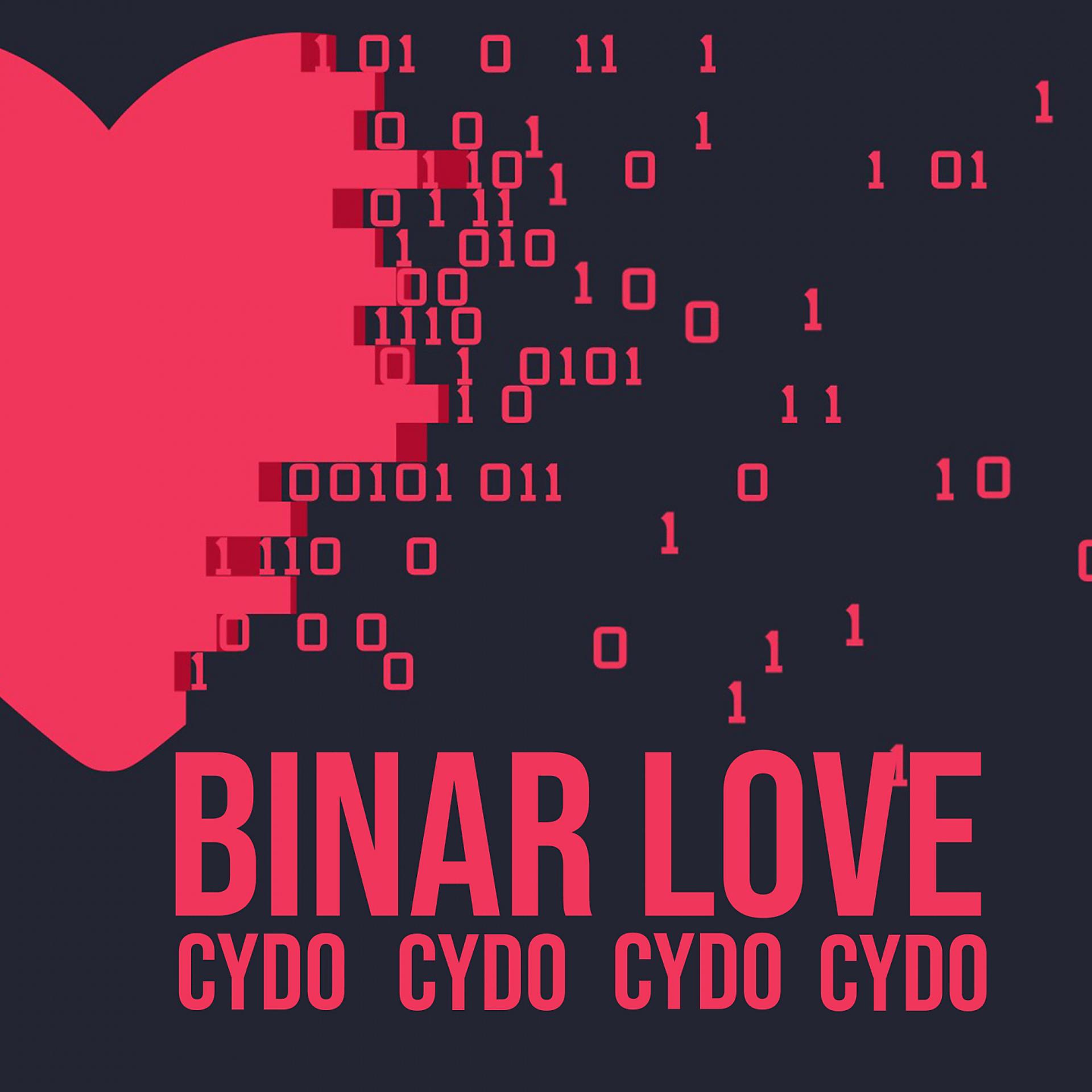 Постер альбома Binar Love