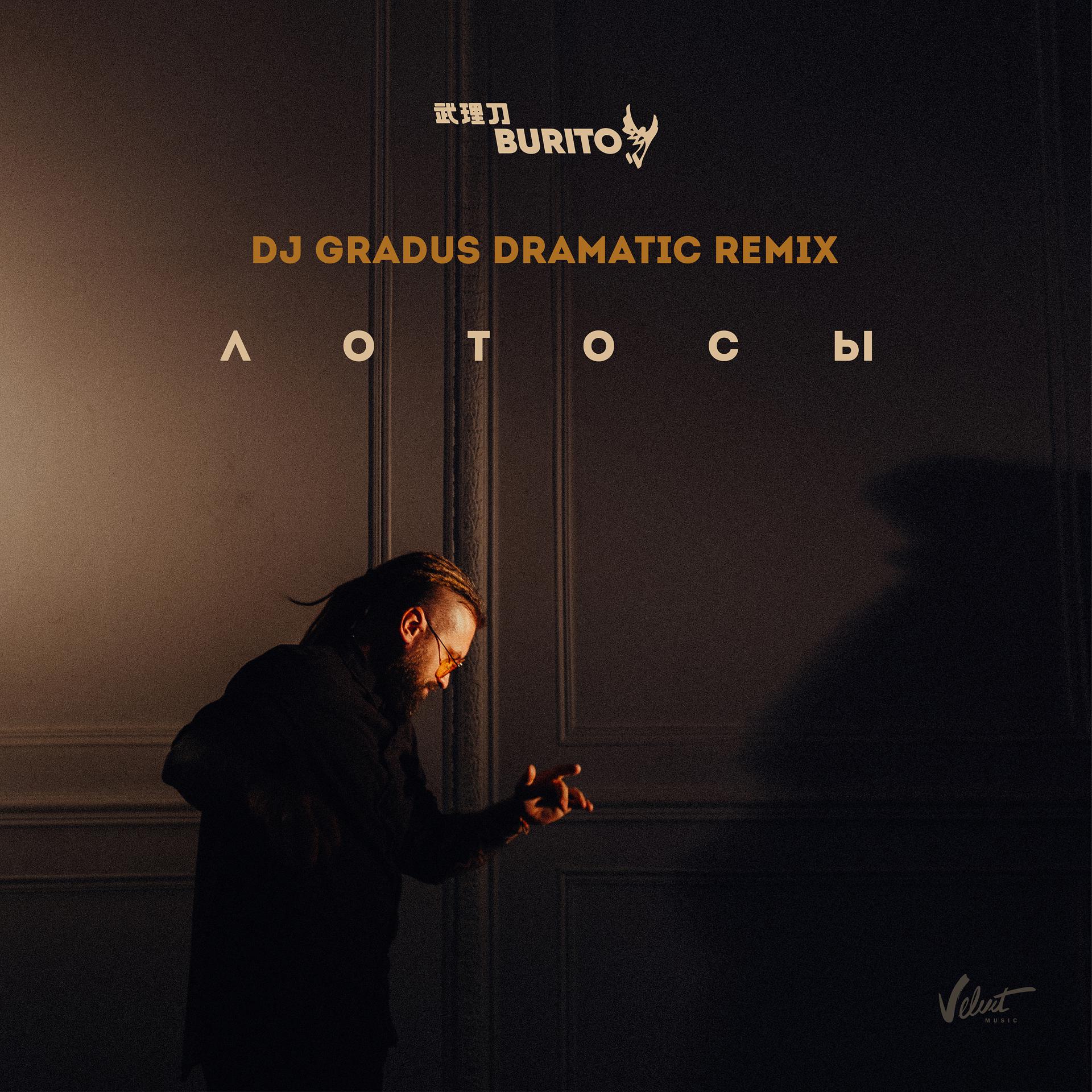 Постер альбома Лотосы (DJ Gradus Dramatic Remix)
