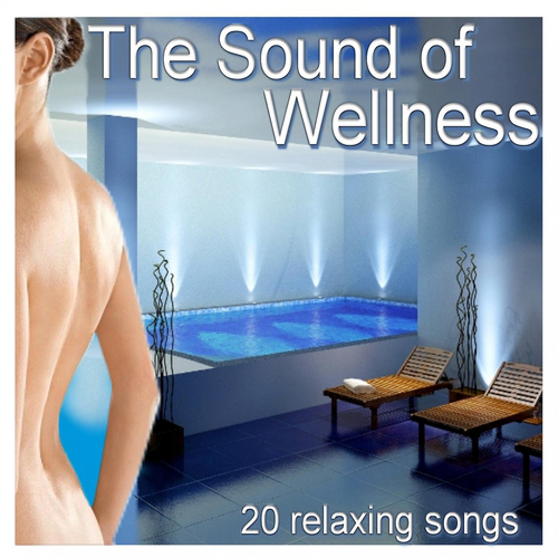 Постер альбома The Sound of Wellness (20 Relaxing Songs)