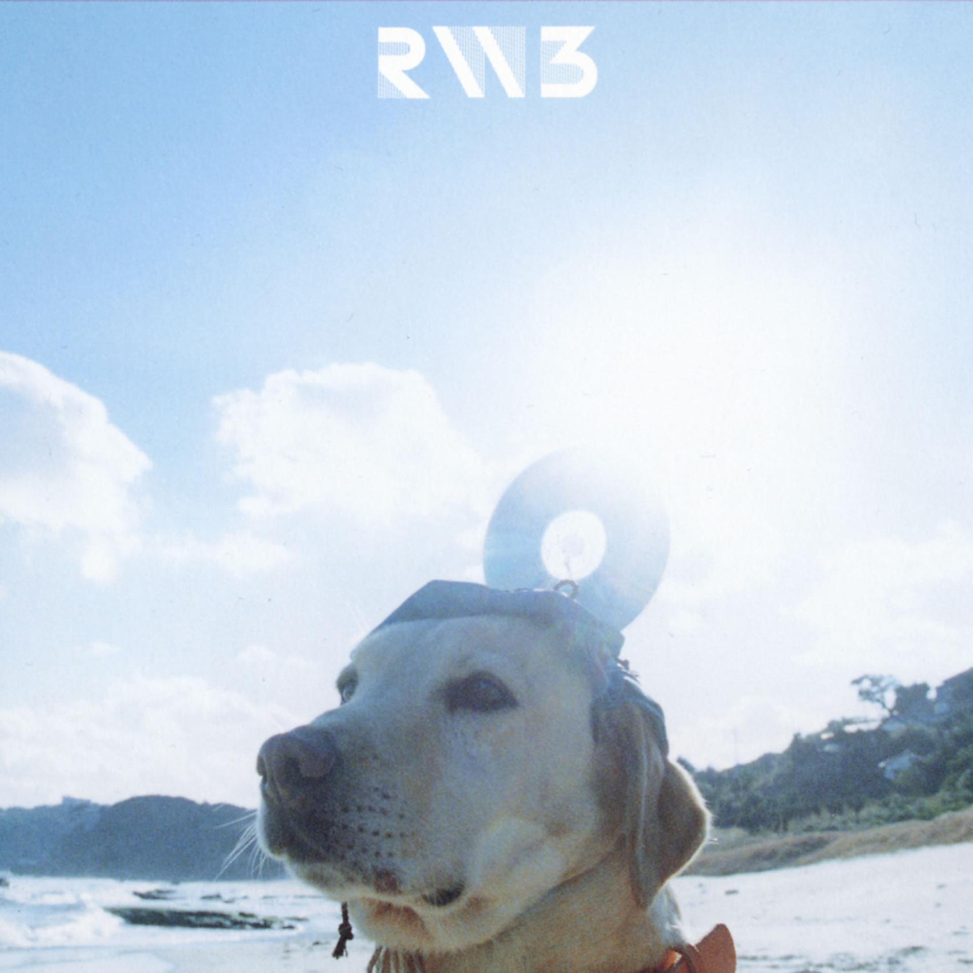 Постер альбома Radwimps 3 -Mujintou Ni Motteikiwasureta Ichimai-