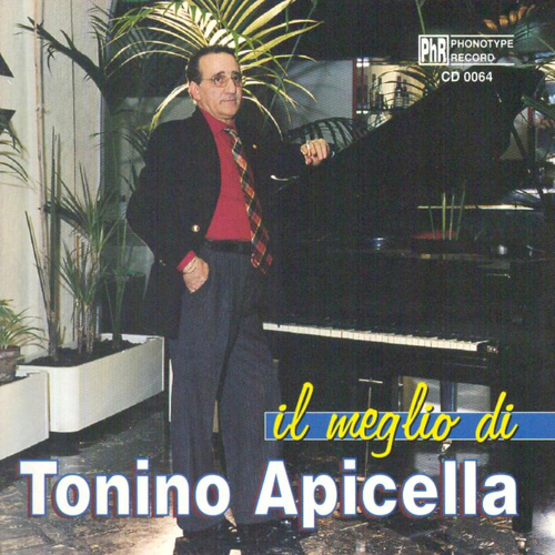 Постер альбома Il meglio di Apicella