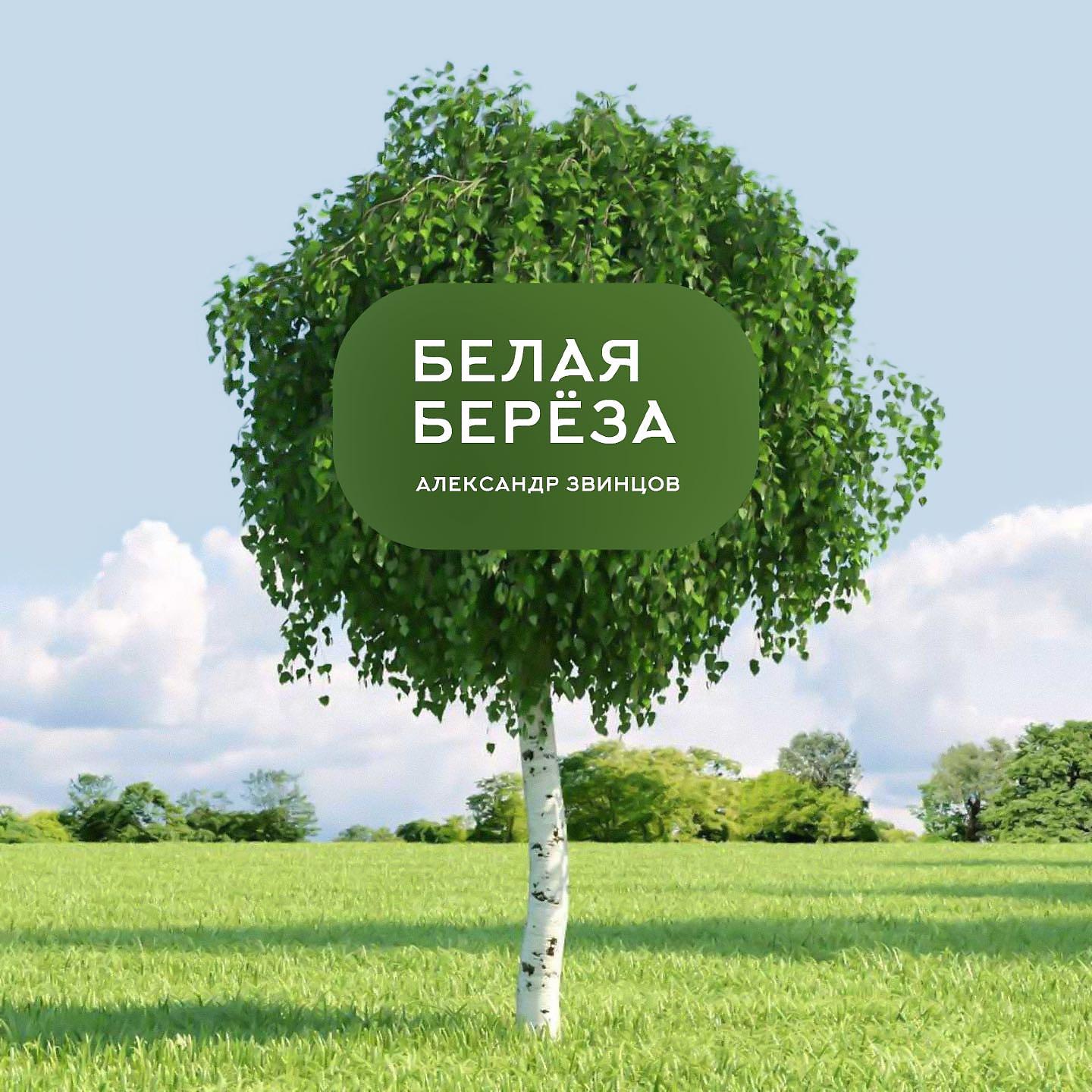 Постер альбома Белая берёза
