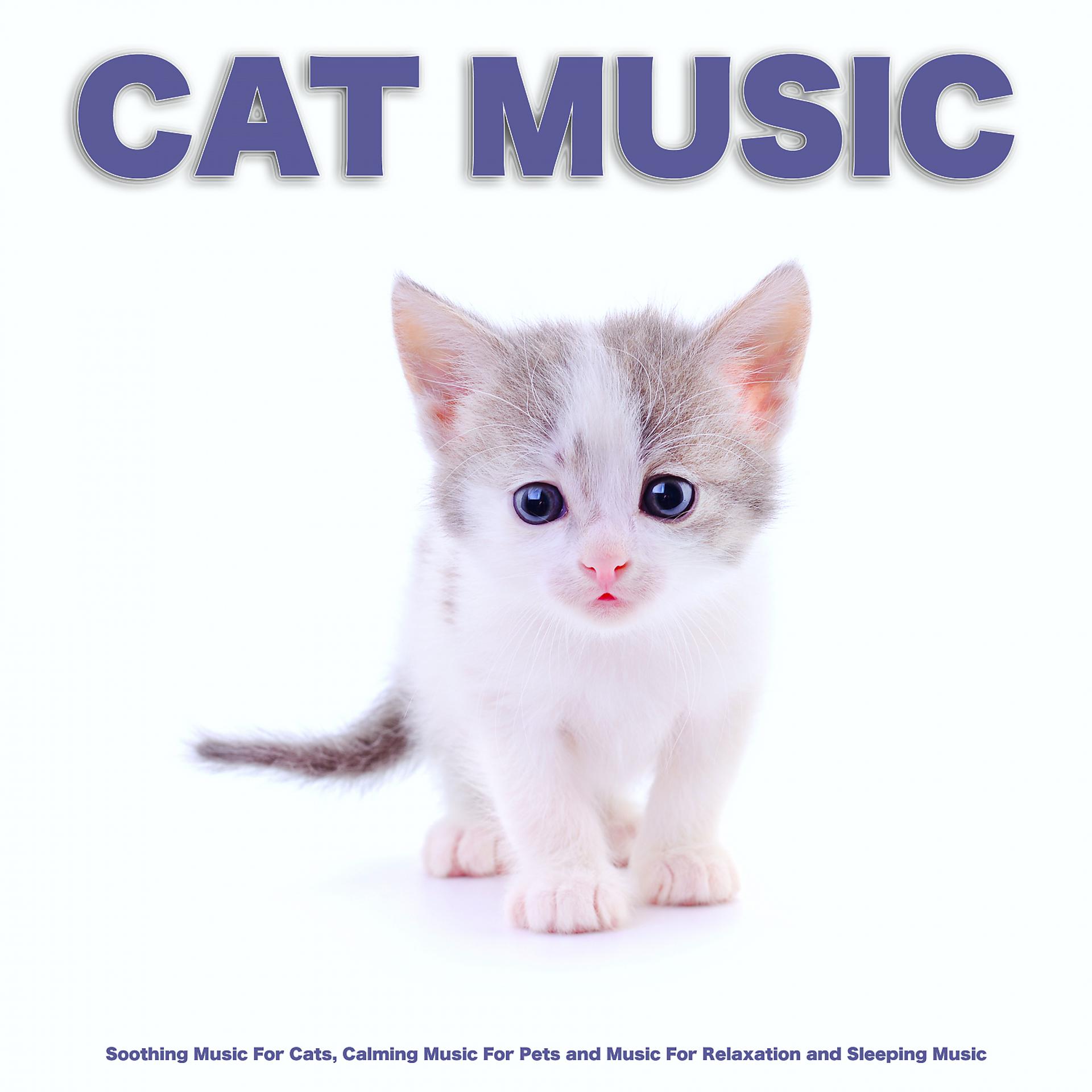 Music for cats. Calming Music for Cats. Relax Cat Music. Cat. Слушать. Relaxing Music for Cats.