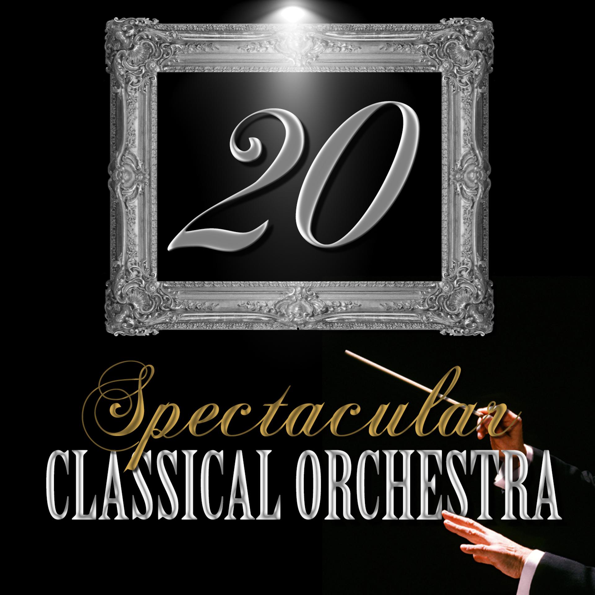 Постер альбома 20 Spectacular Classical Orchestra