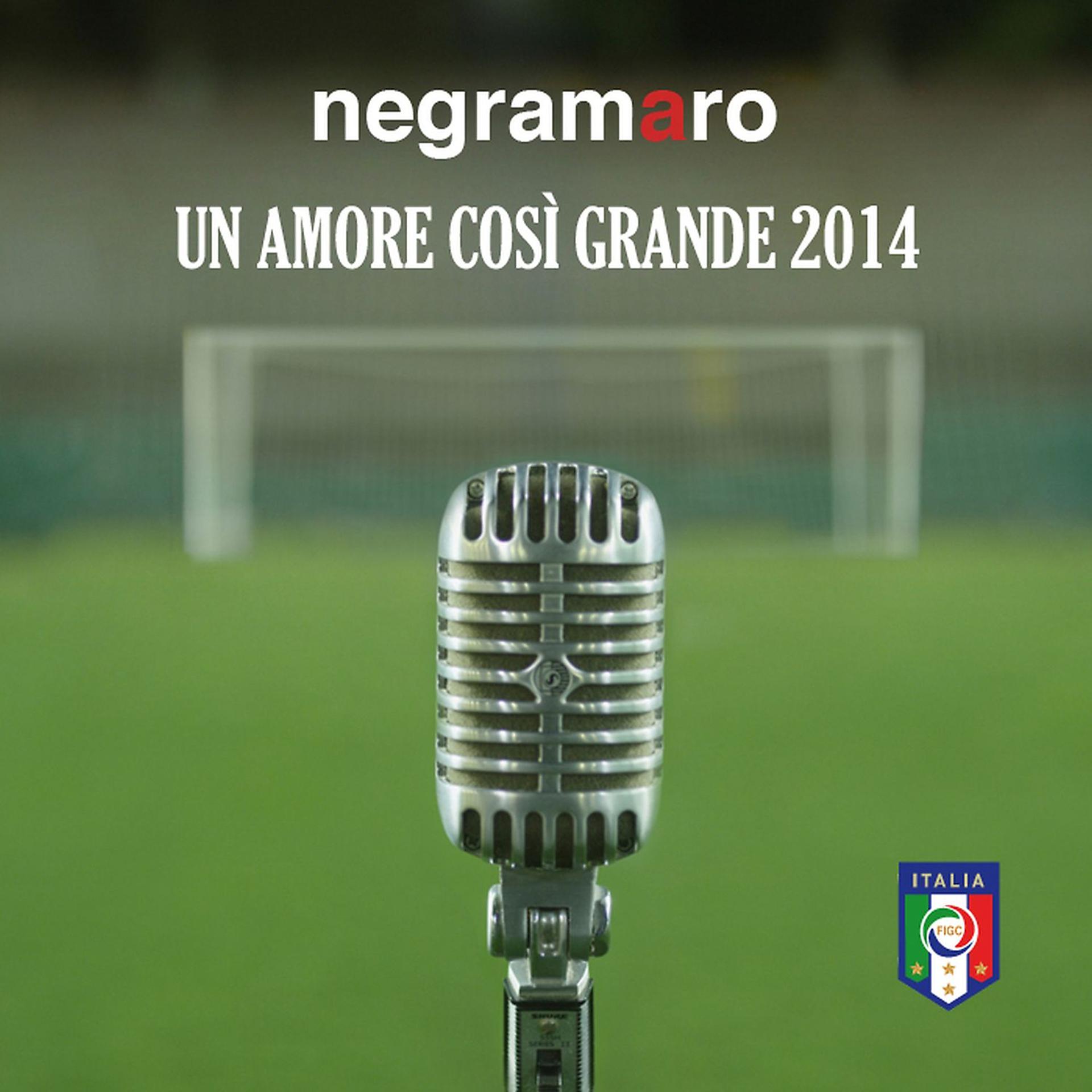 Постер альбома Un Amore Così Grande 2014