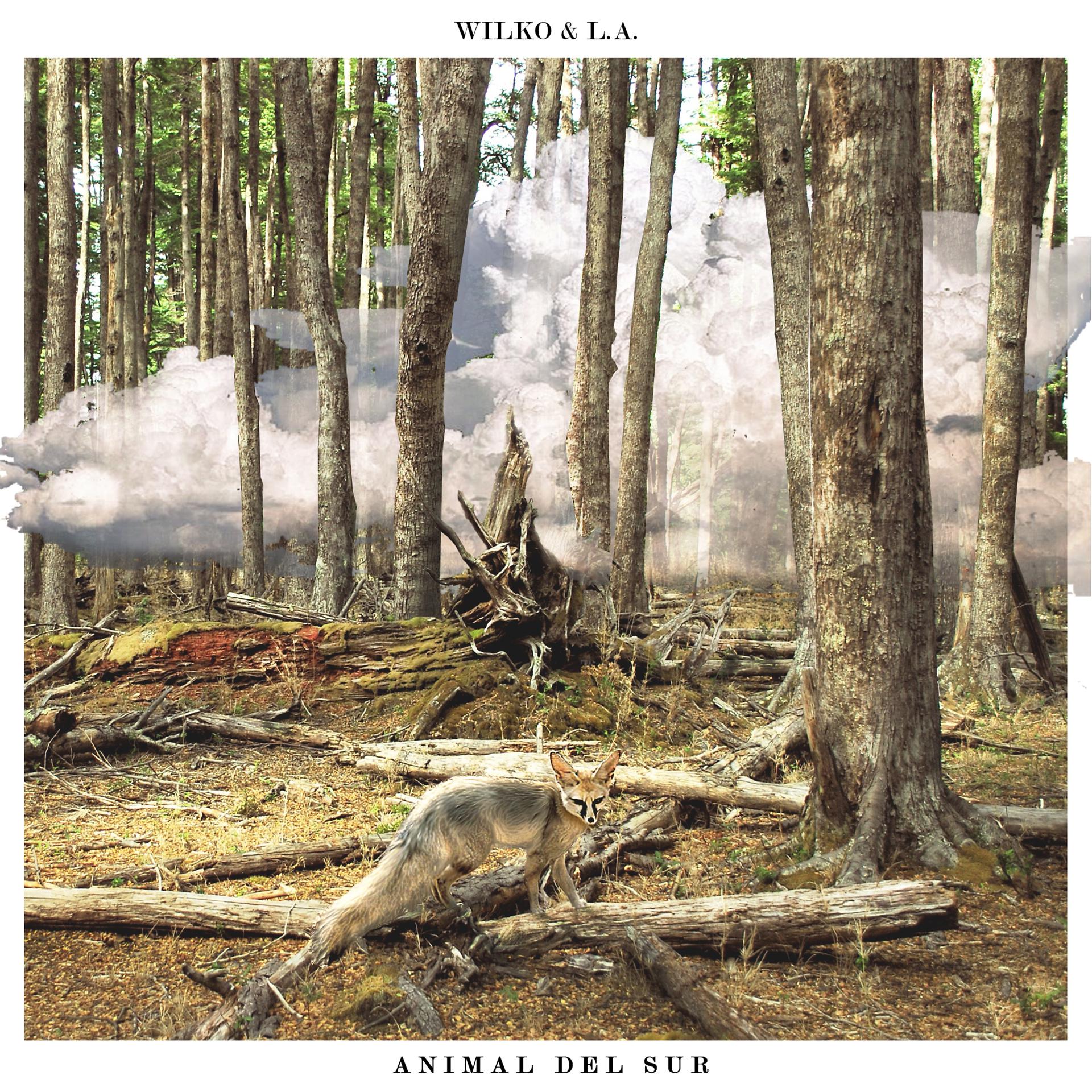 Постер альбома Animal del Sur